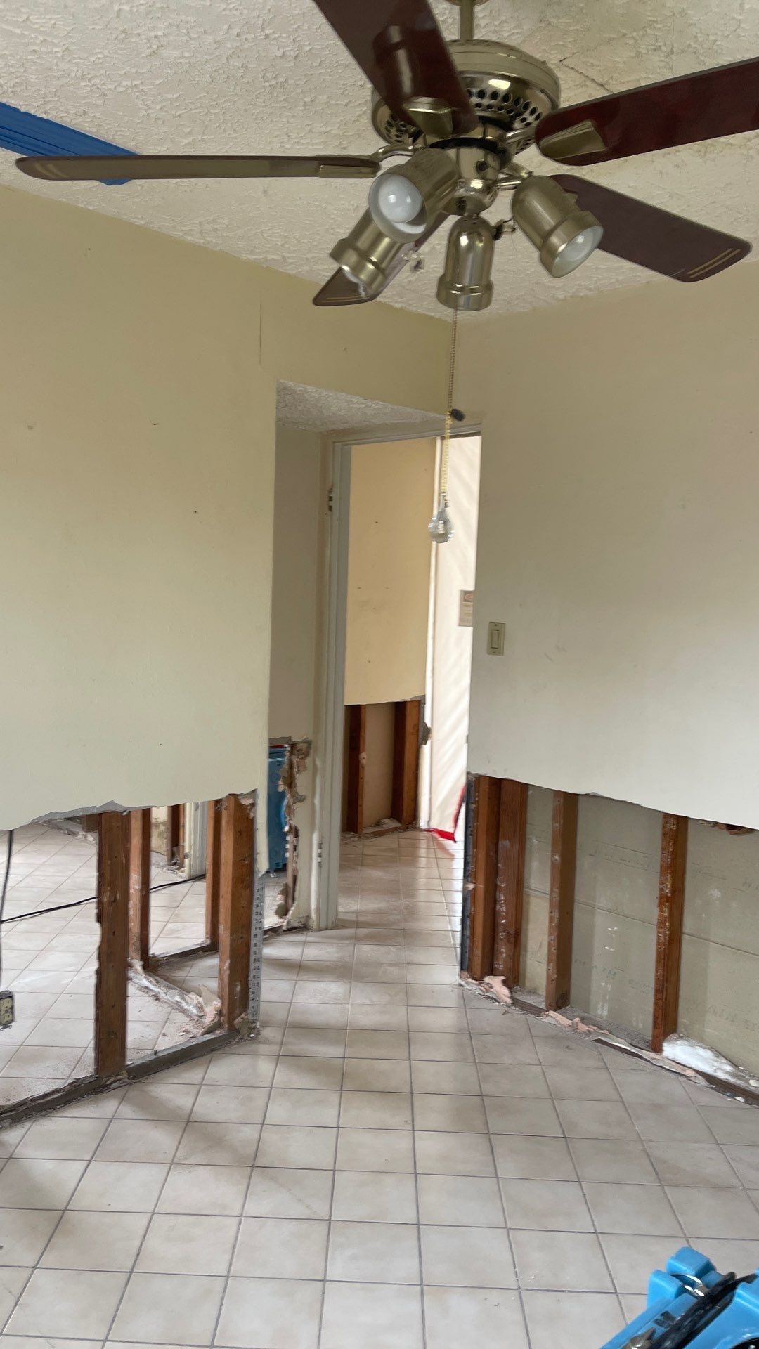 Mold Remediation  by THE RAPID TEAM