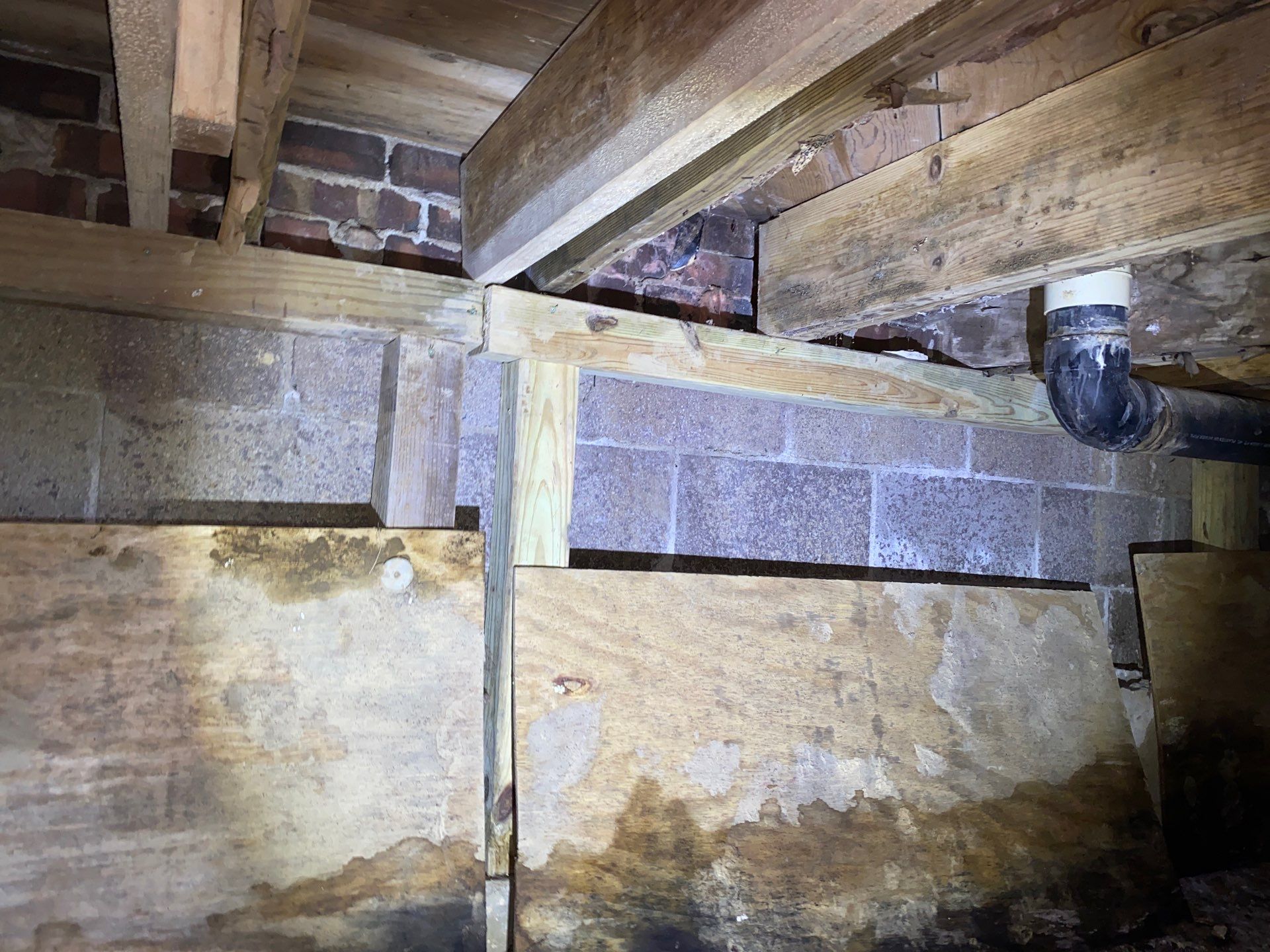 Crawl space mold remediation Burgettstown Pa home by Home Environment Solutions