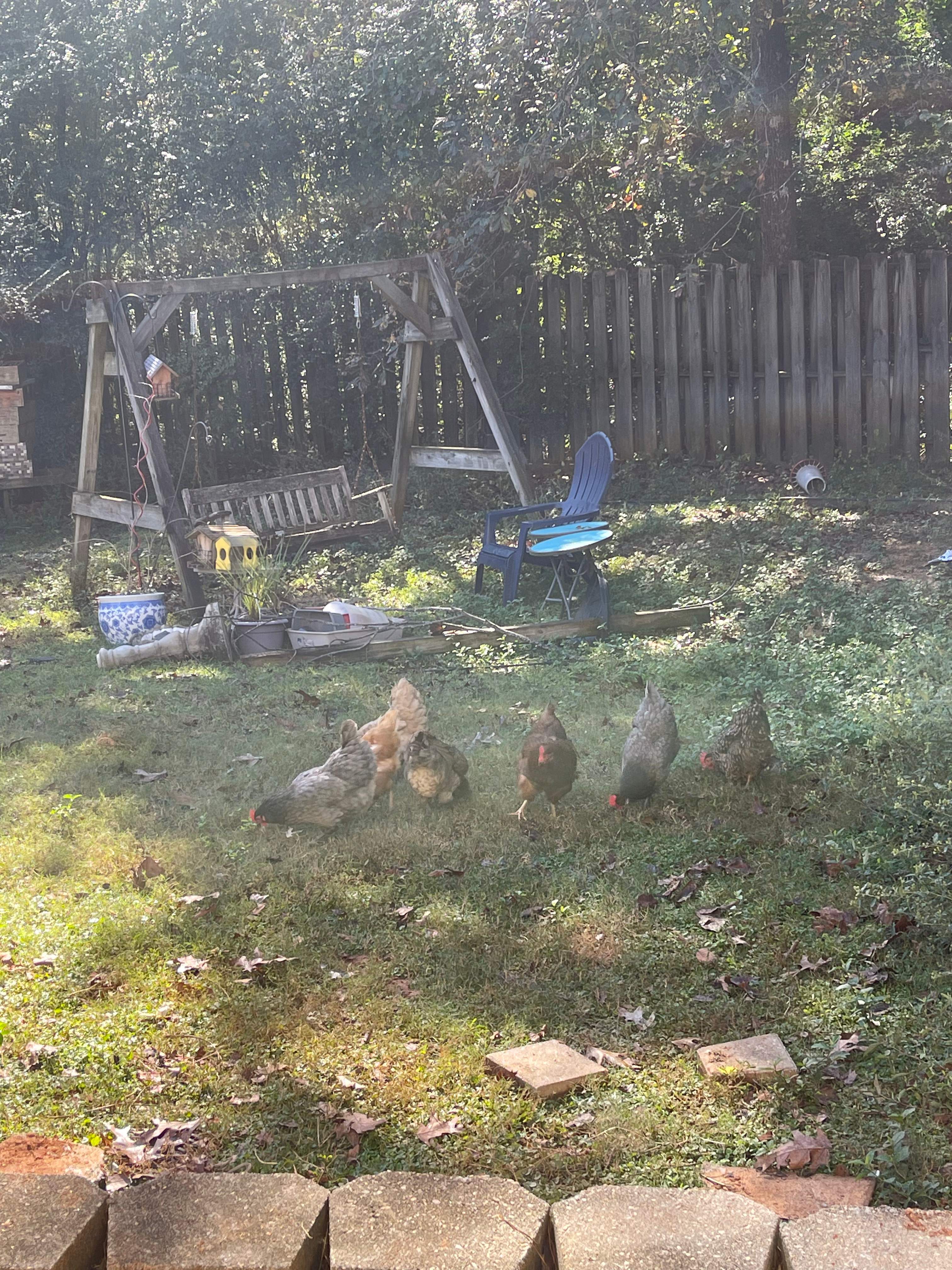 Balmoral Estates Screened Deck  by Pillar and Pine