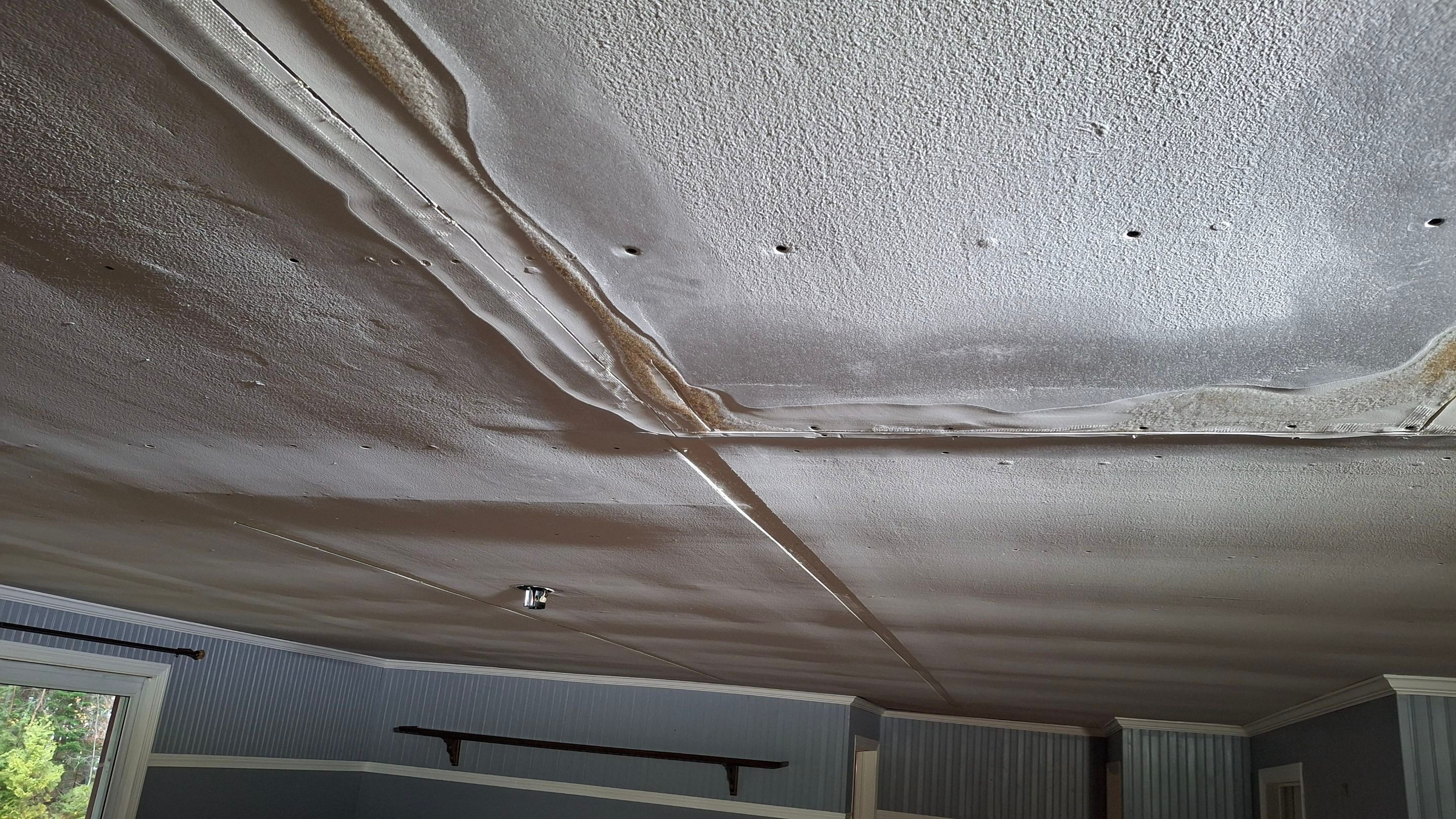 Ceiling repair  by Big Pine Panting Inc