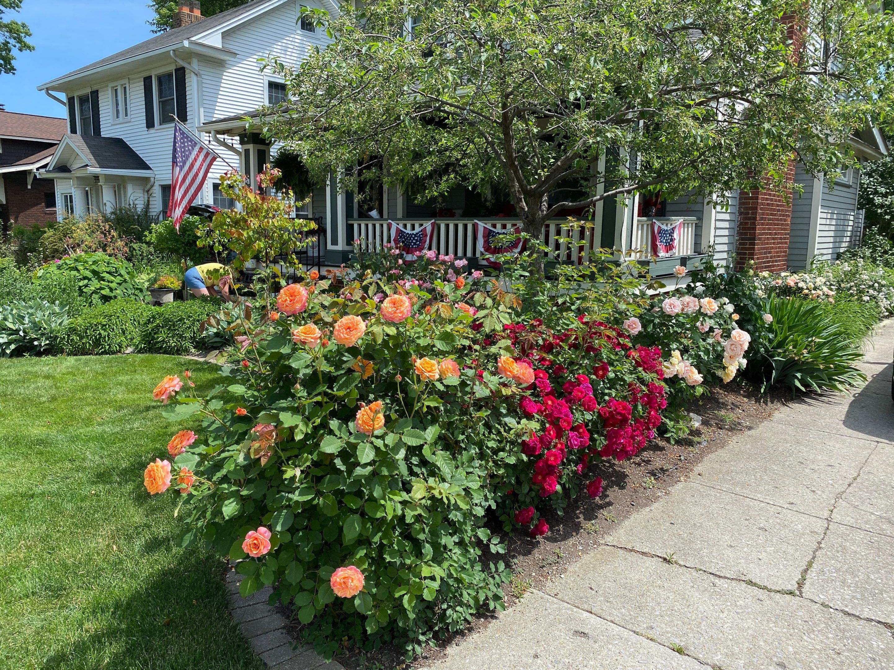 Elm Rose Home Project by Elm Rose Gardens