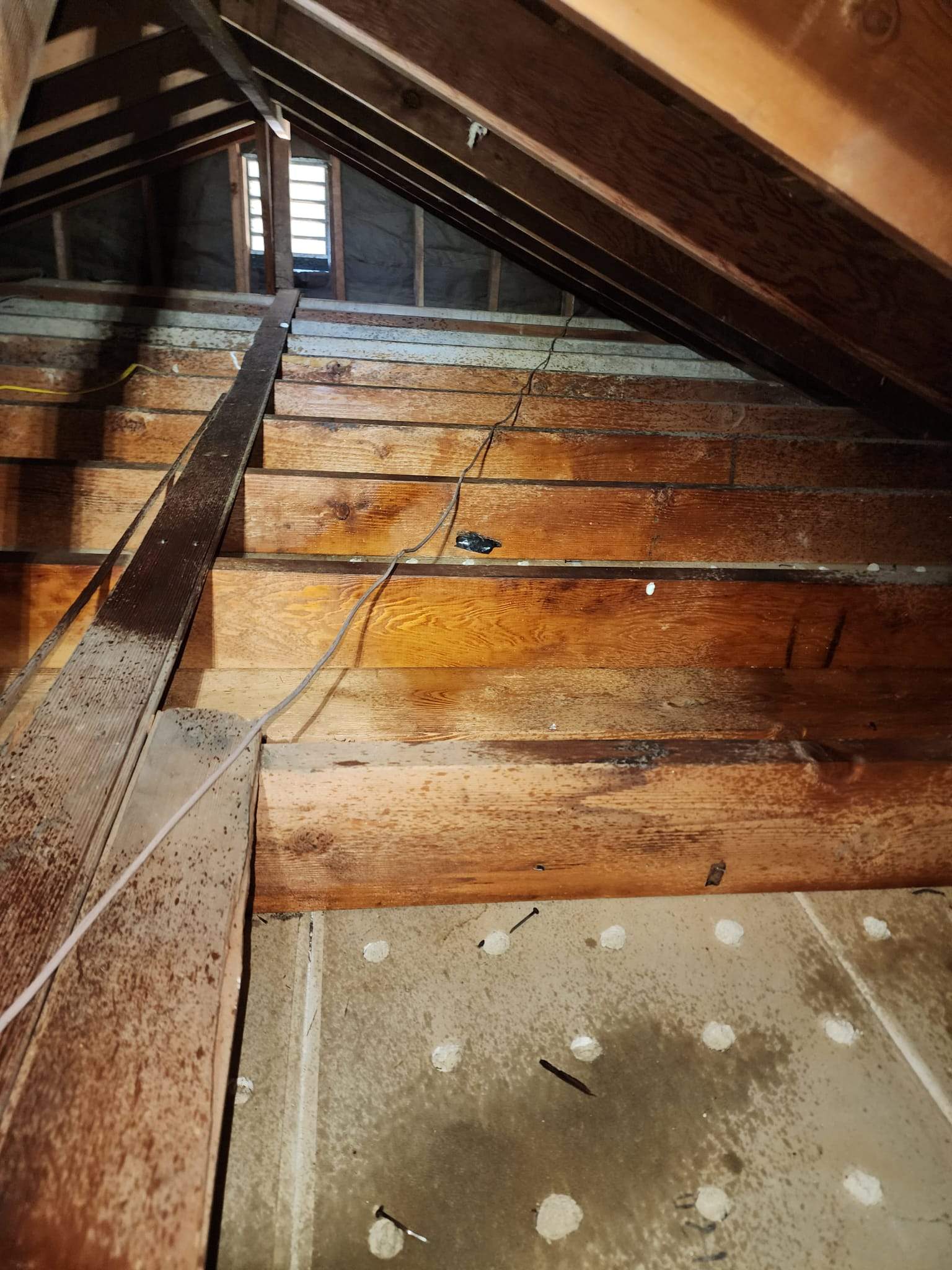 Project by Advanced Attic Solutions by Advanced Attic Solutions