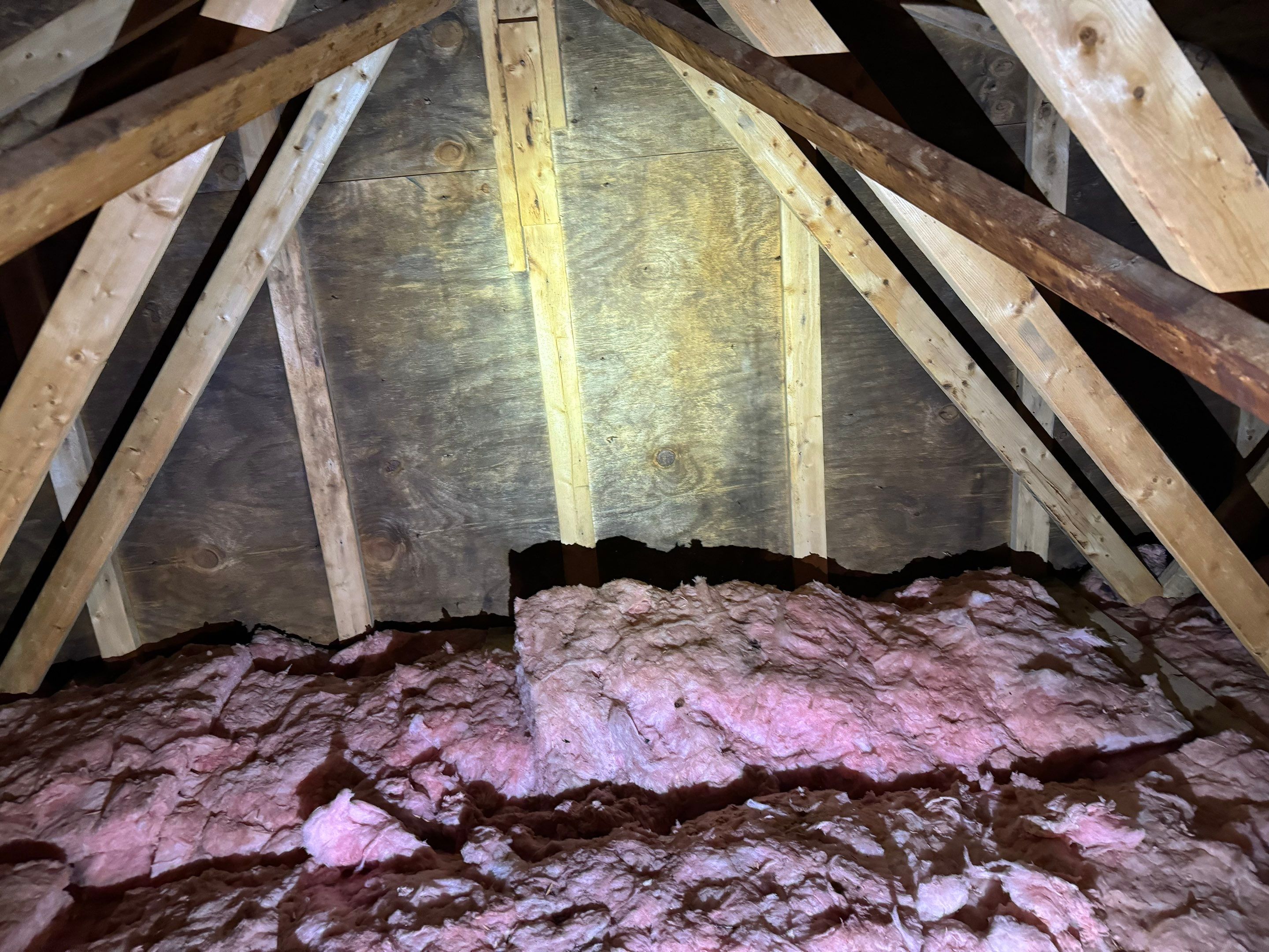 Attic Mold Remediation by Home Guarantee, LLC