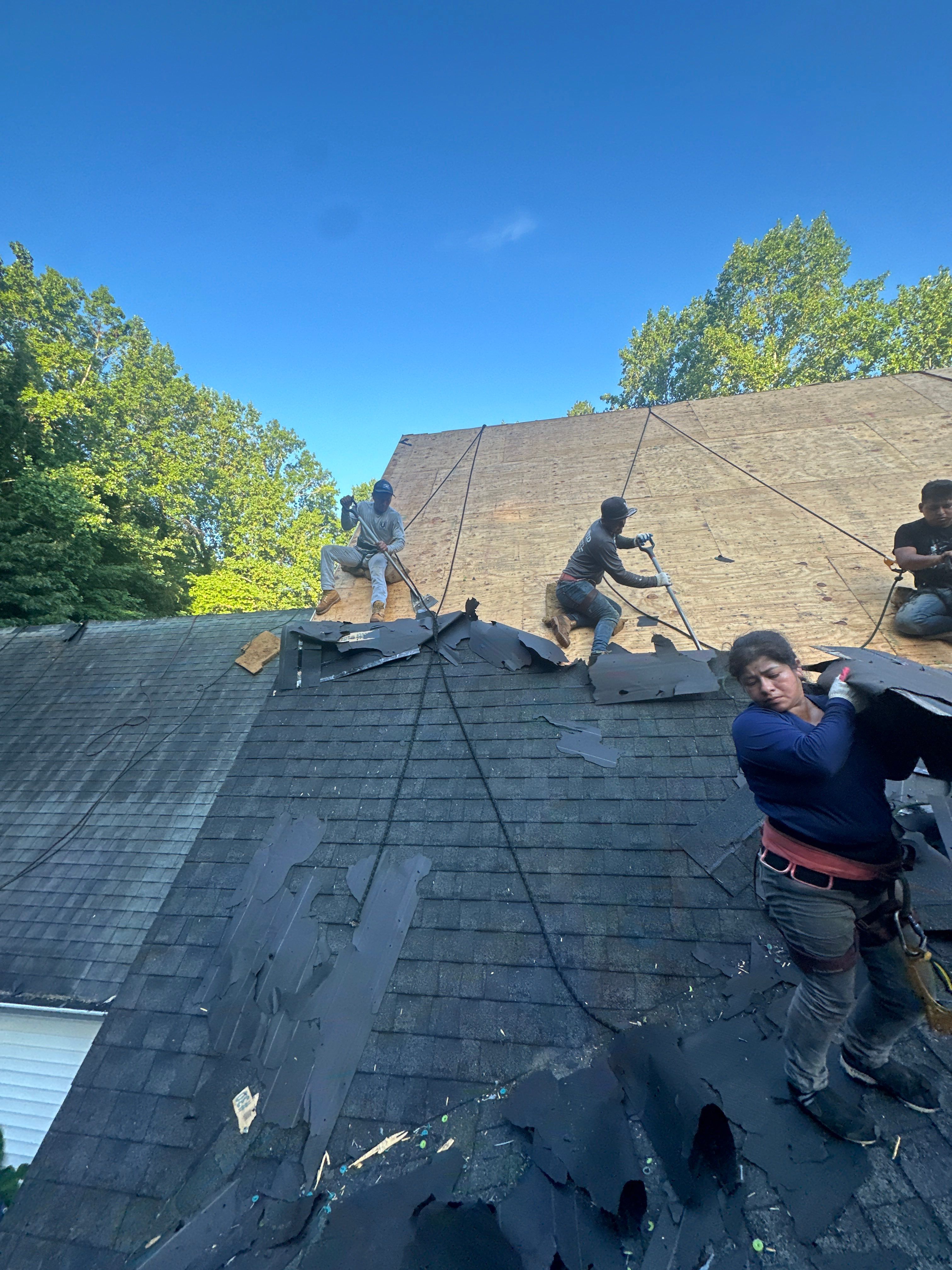 The Kings by United Contracting and Roofing