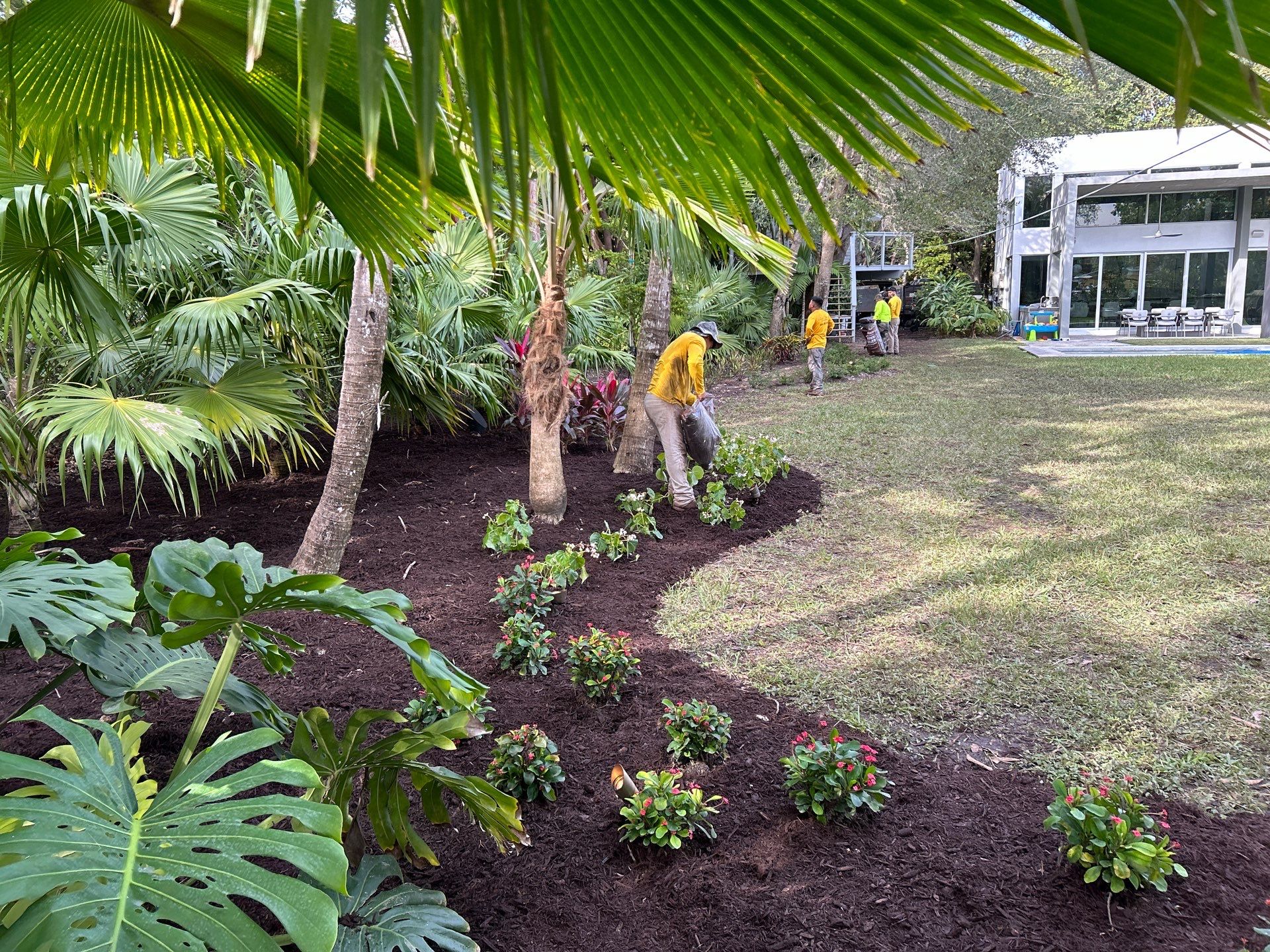 Landscape on New Home in Pinecrest, FL by Nature's Dream Landscape and Tree Service