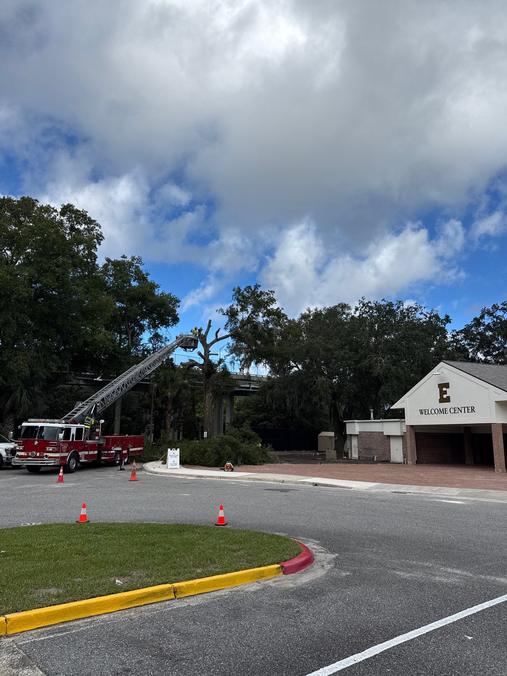 Welcome Center Tree Removal | Episcopal School of Jacksonville by ProGreen Services