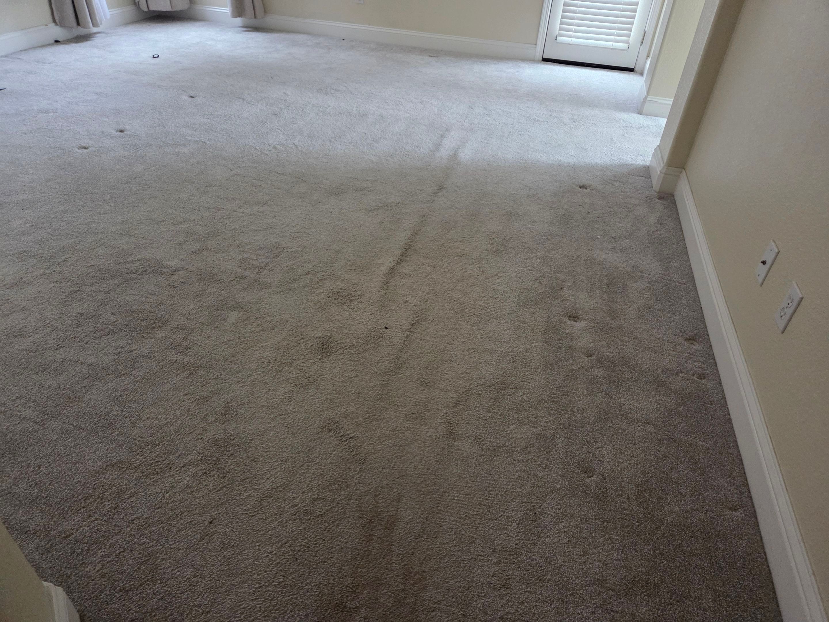 Carmichael Carpet Re-stretching and Cleaning by Ardent Carpet Restore LLC