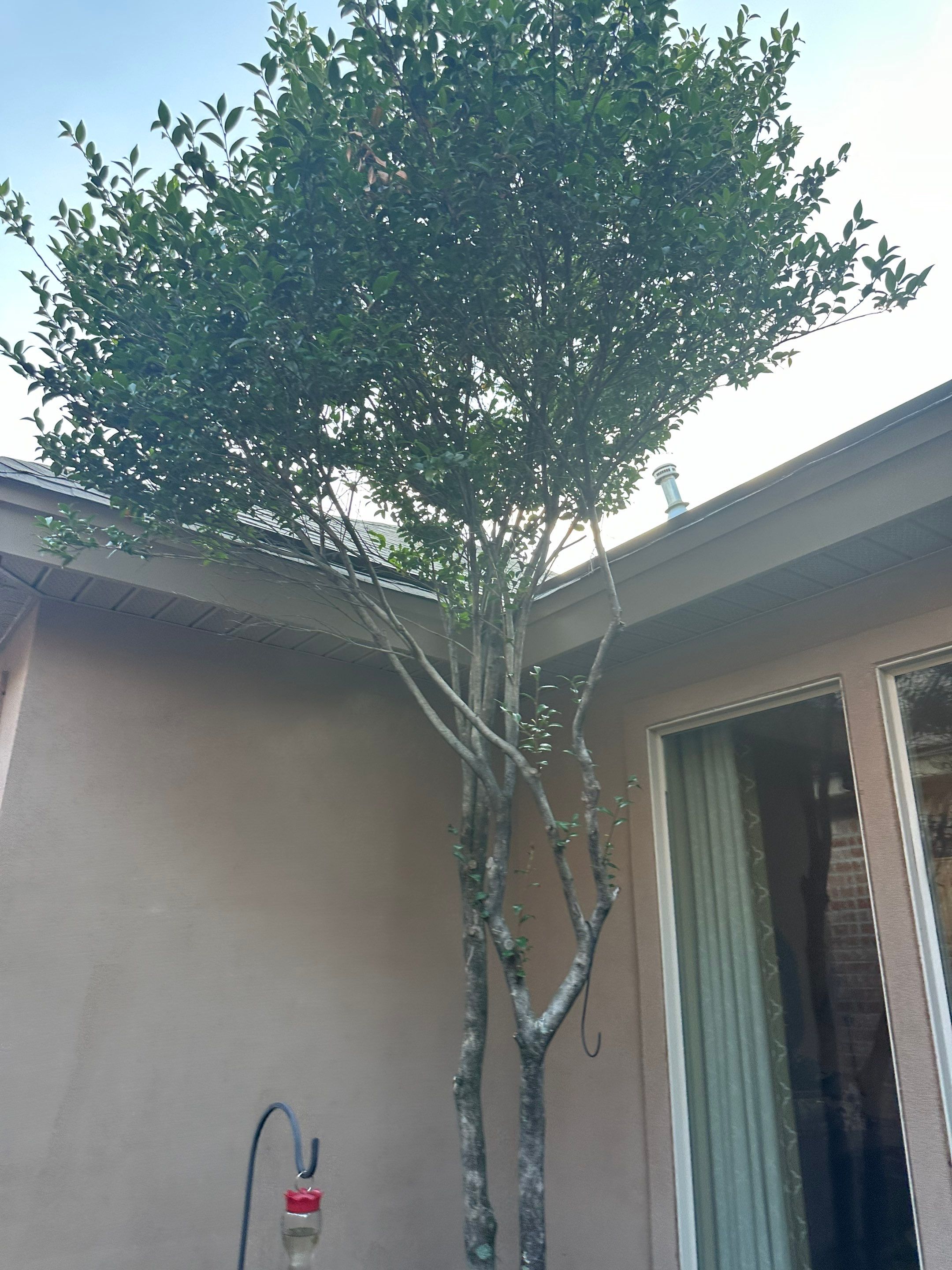 Full Home Soft Wash by College Bros Outdoor services