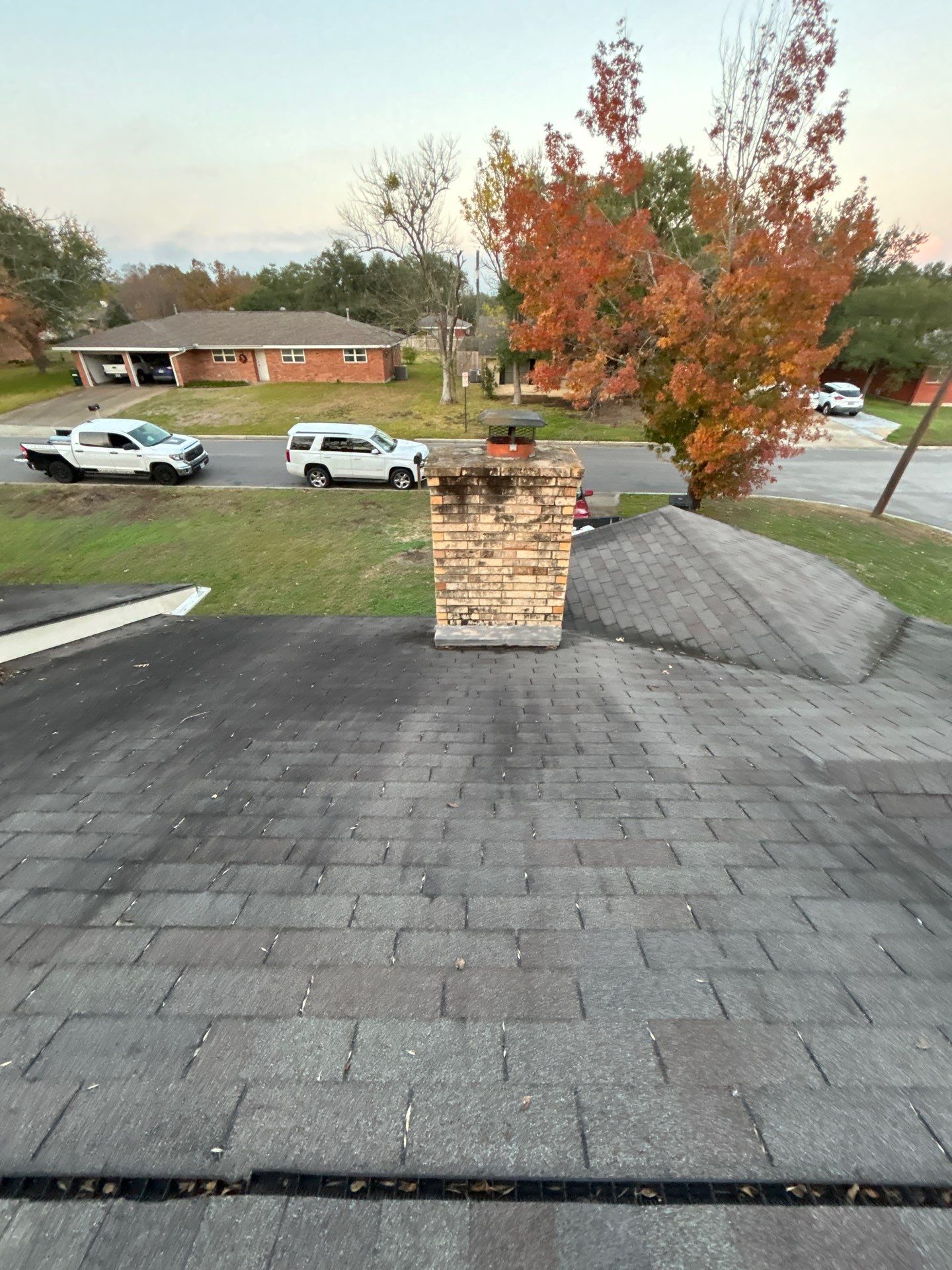 SUSANA T by Boss Hogg Roofing