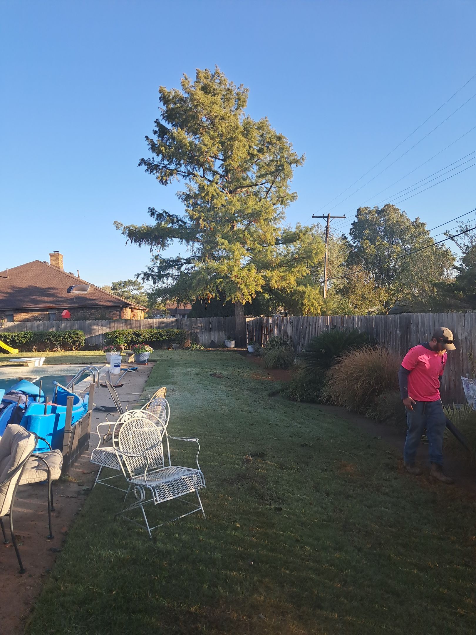 Tree Removal using Chainsaws by Clays Services Inc