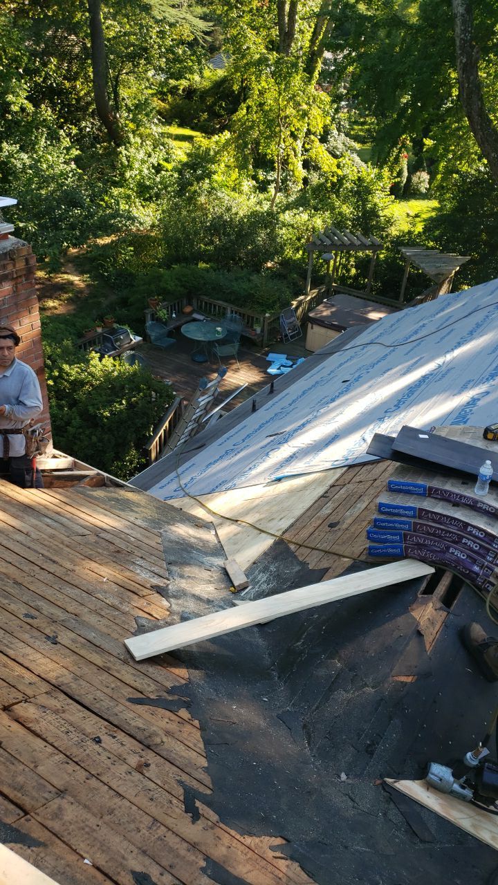 Alexandria Roof Project - CertainTeed Landmark Pro Max Def Charcoal Black Shingles by RM Banning, Inc.