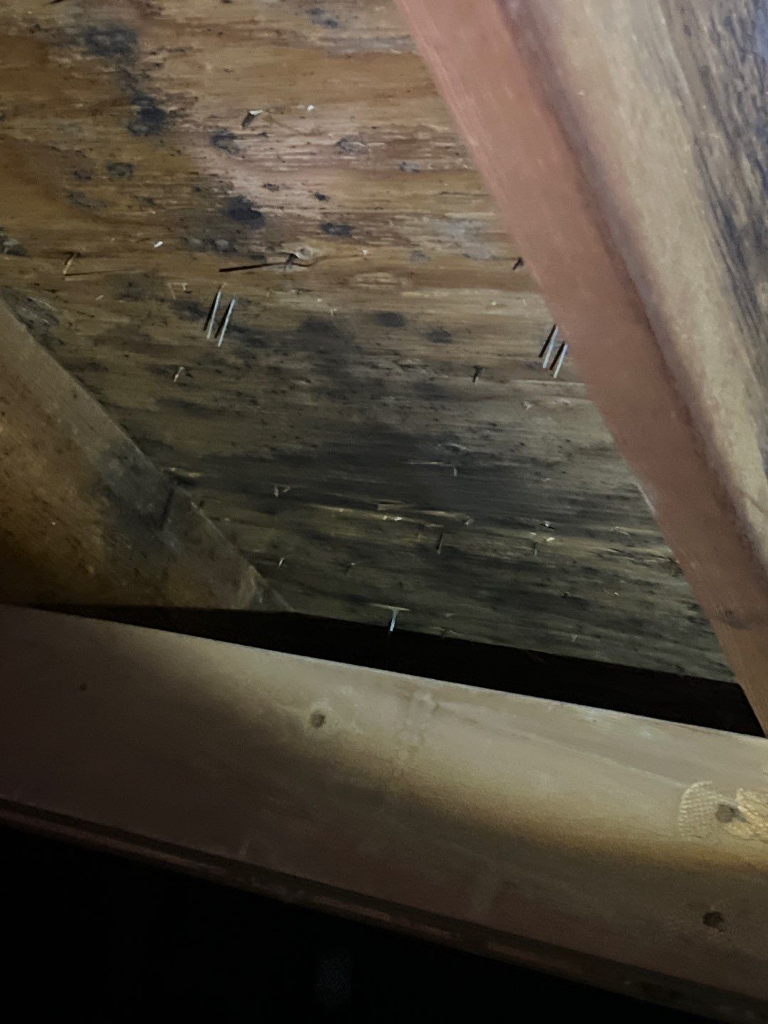 Residential Roofing Repair by Storm Guard of South Metro Denver