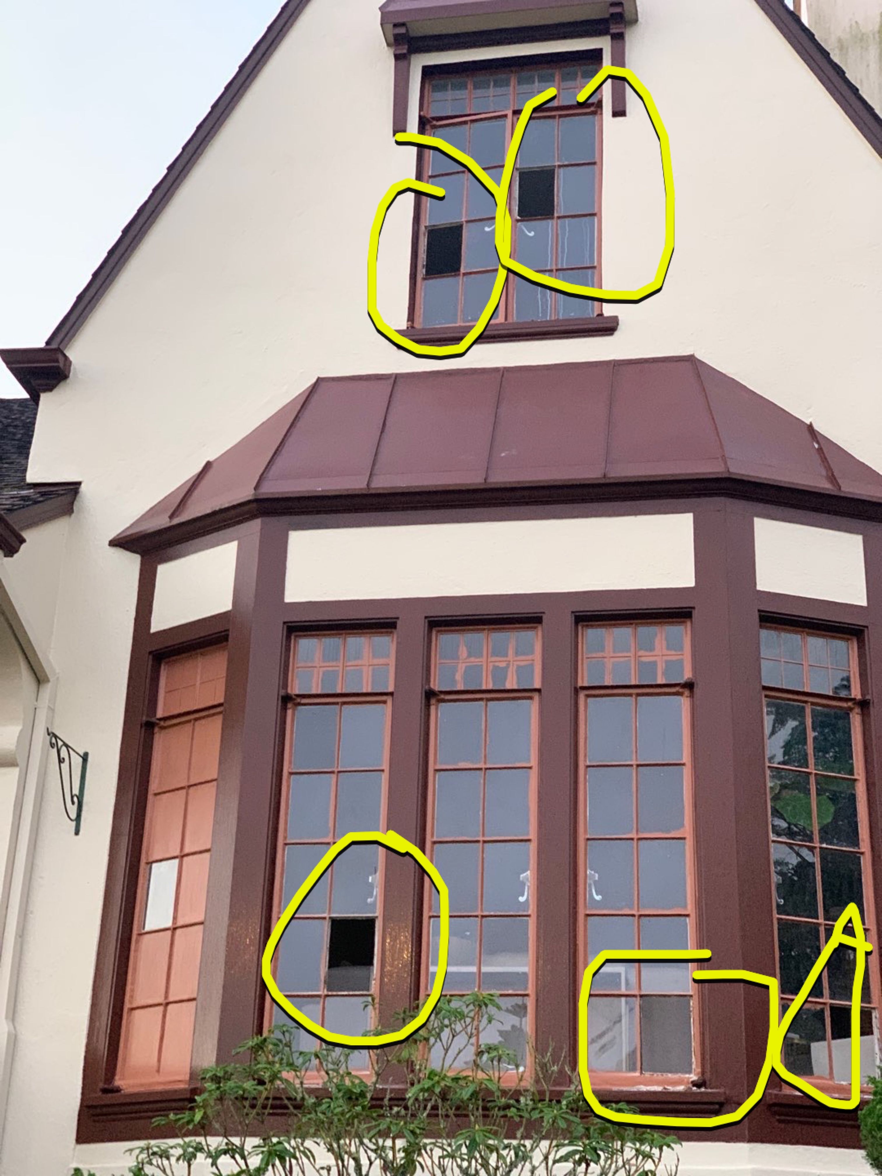 Priscilla Rodrigues by SpotFree Window Cleaning