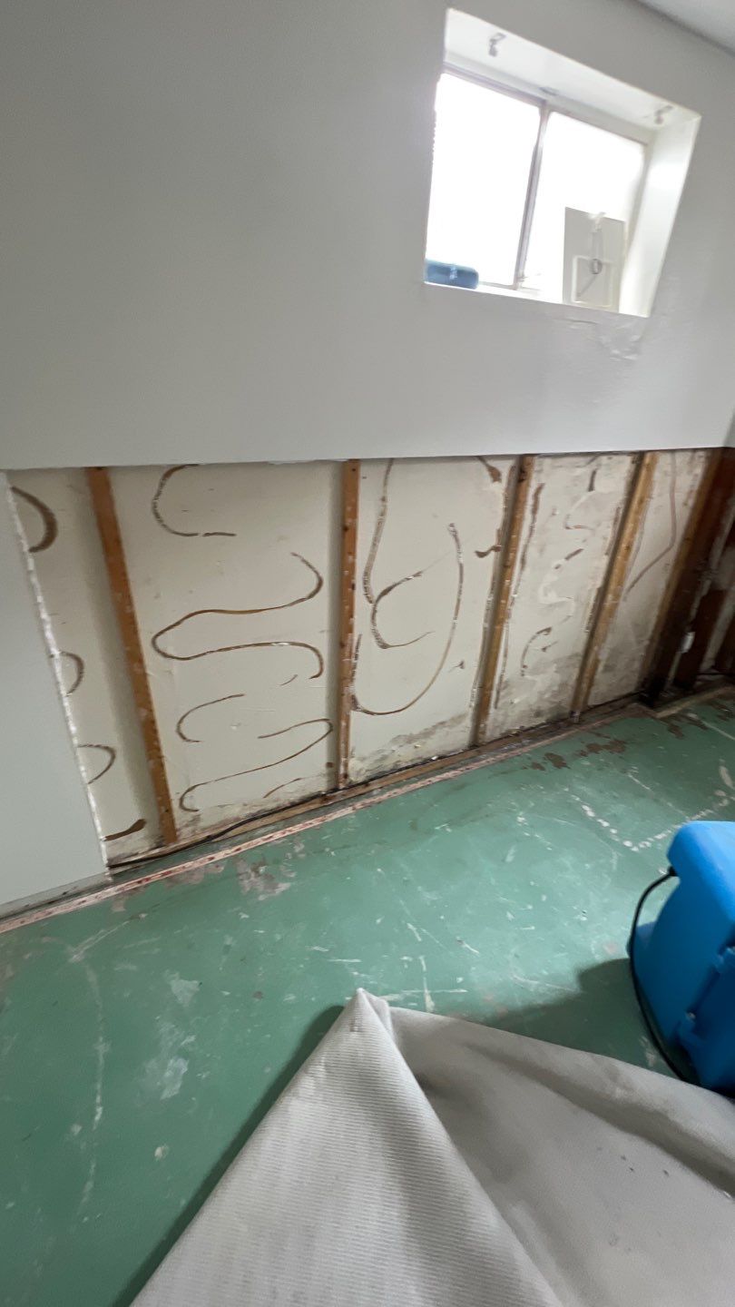 Mold Remediation by Accountable Home Services