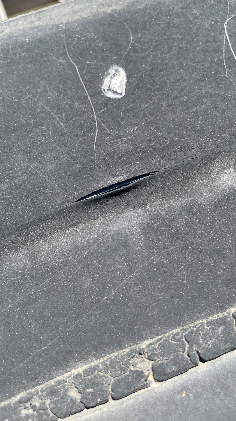 Alexandria: Mule Hide TPO Flat Roof by RM Banning, Inc.