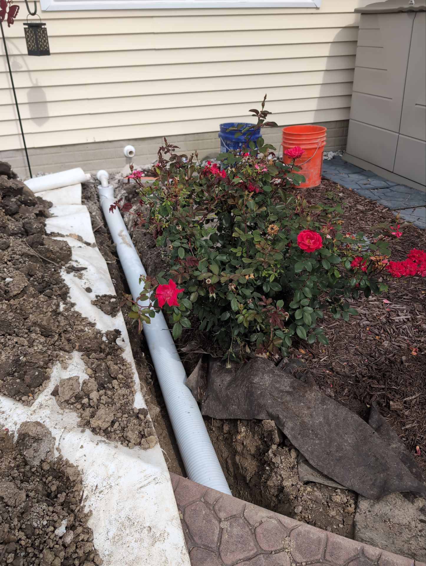 Crawl Space Encapsulation by Toledo Basement Repair