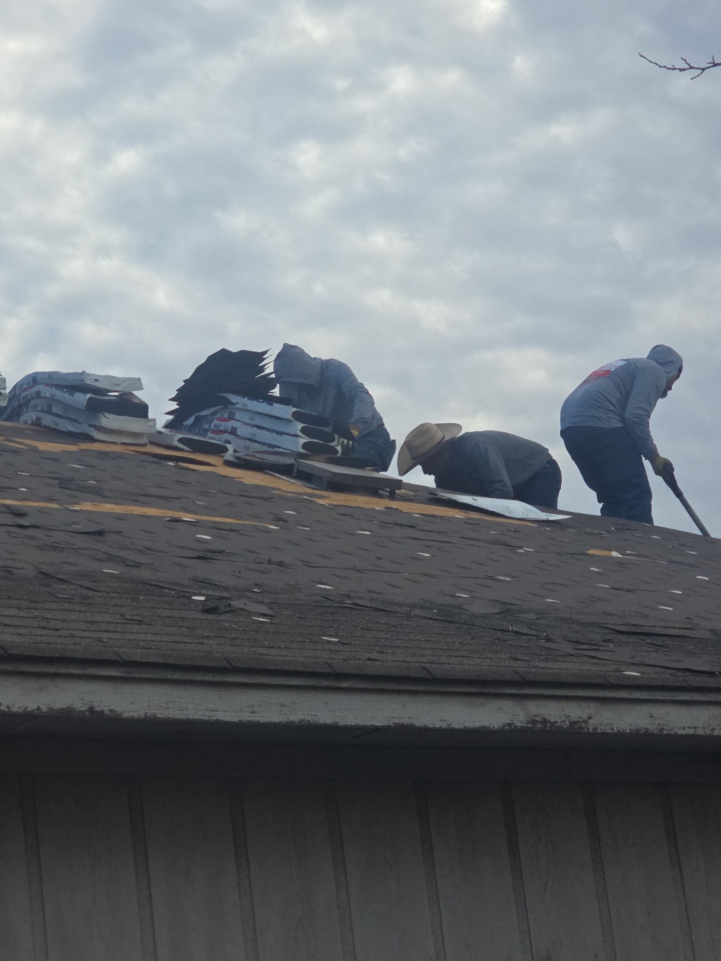 Miss Bridgette by REPS Austin Area Roofer