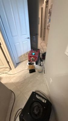 Wet Carpet Drying — Cape Coral, FL