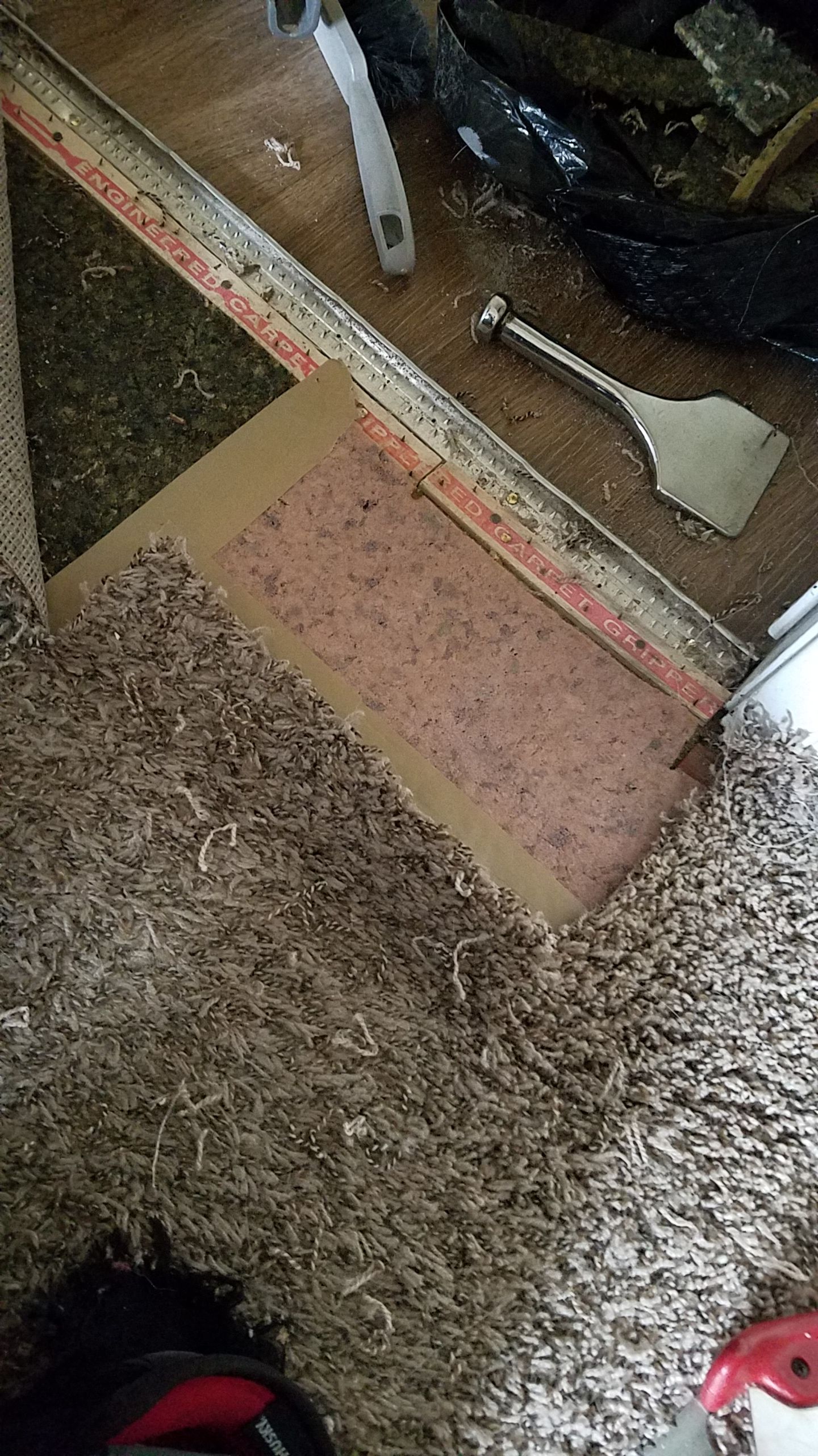 Carpet Repair for Dog Damage by Ardent Carpet Restore LLC