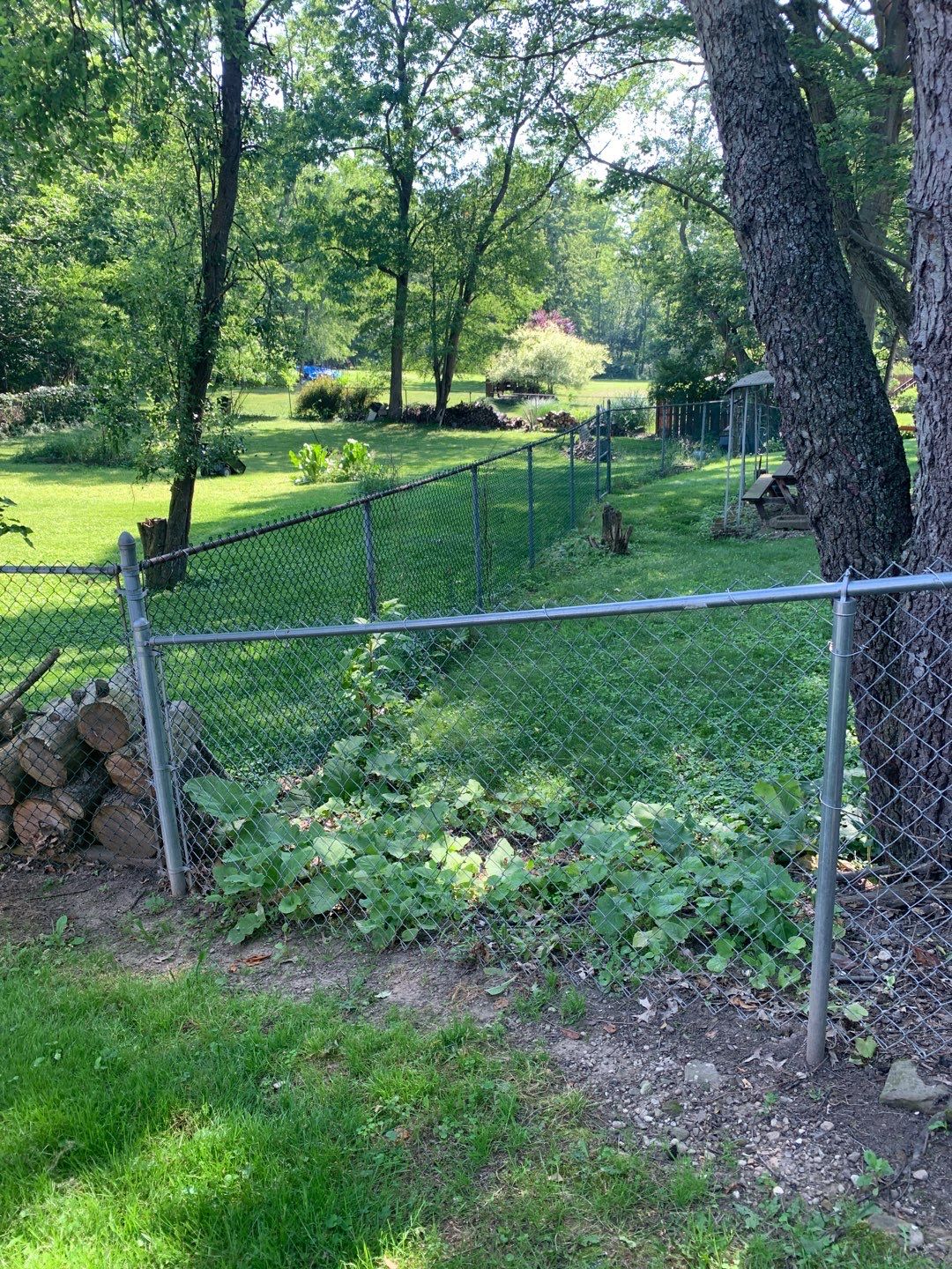 Tree Removal using Tree Removal by Mike Jones & Sons Tree Service LLC 