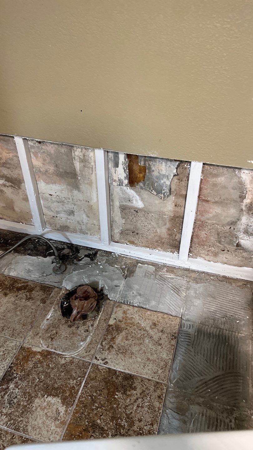 Water Damage and Mold Remediation by Accountable Home Services