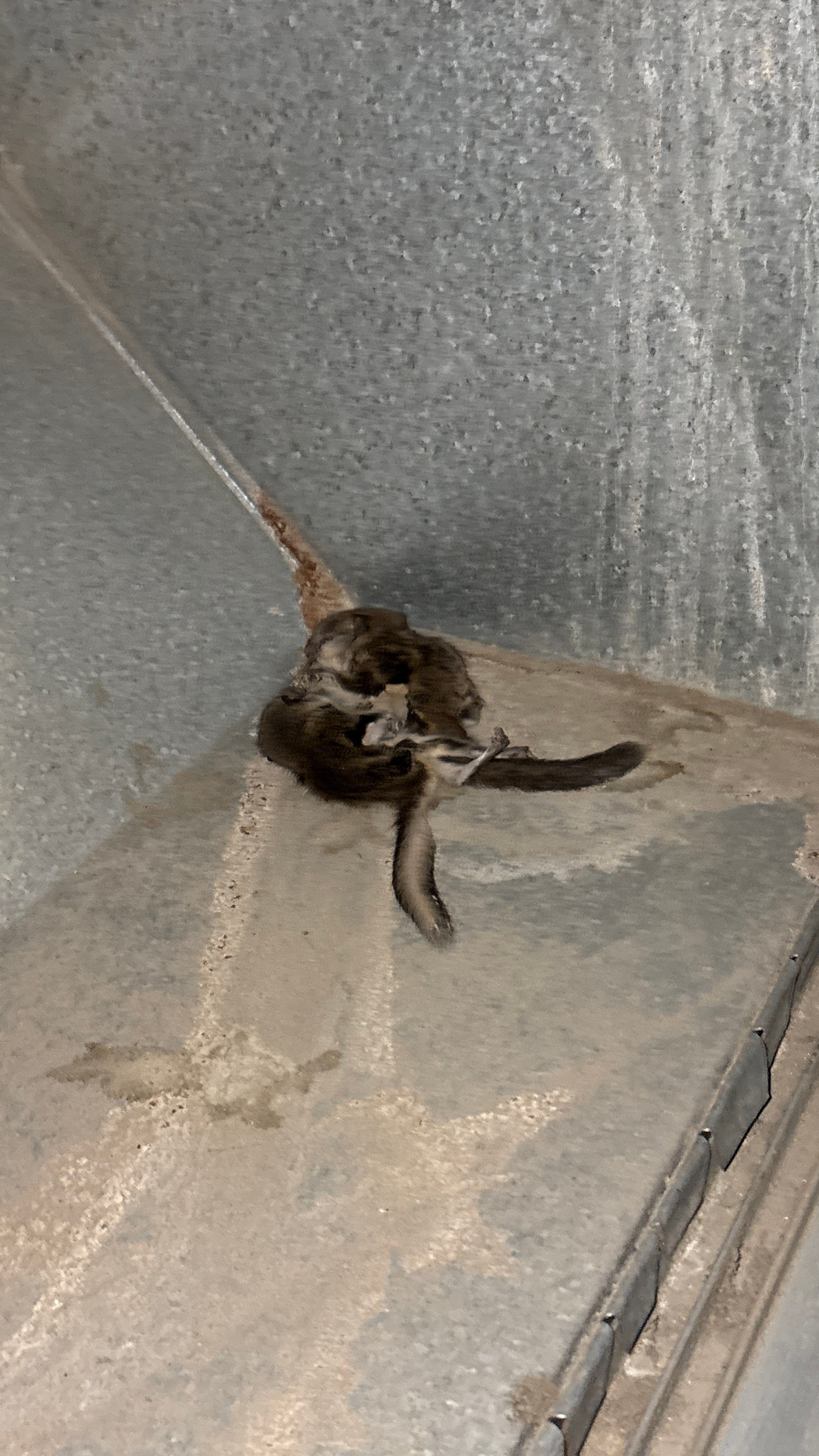 Air Duct & Dryer Vent Cleaning in Baden, PA by Superior Air Duct Cleaning