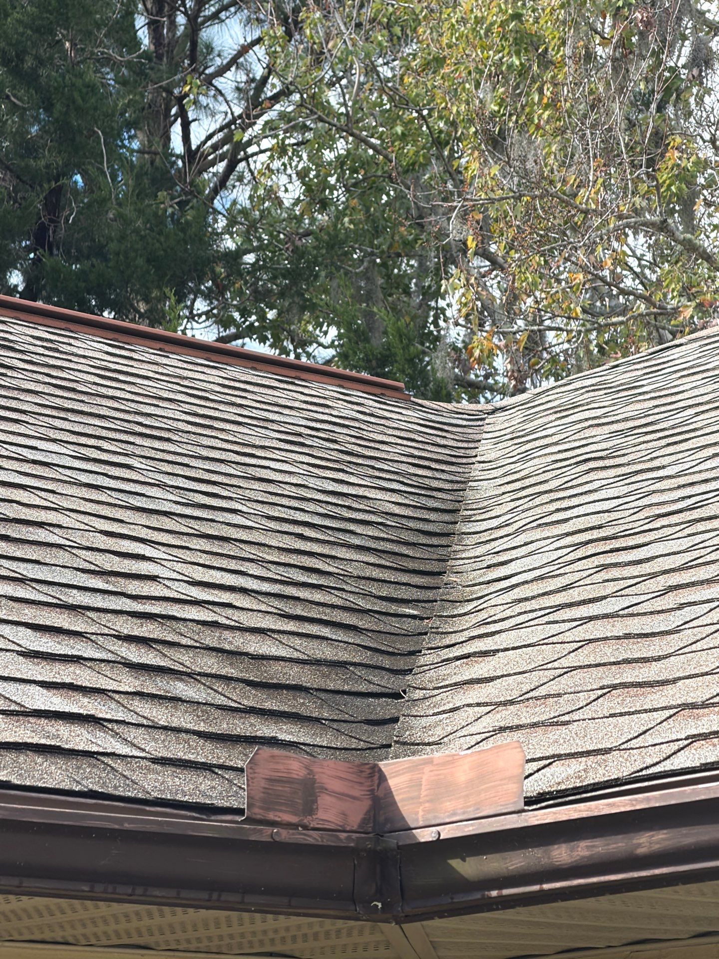Shingle Roof Replacement Port Orange  by Pinnacle Roofing Group