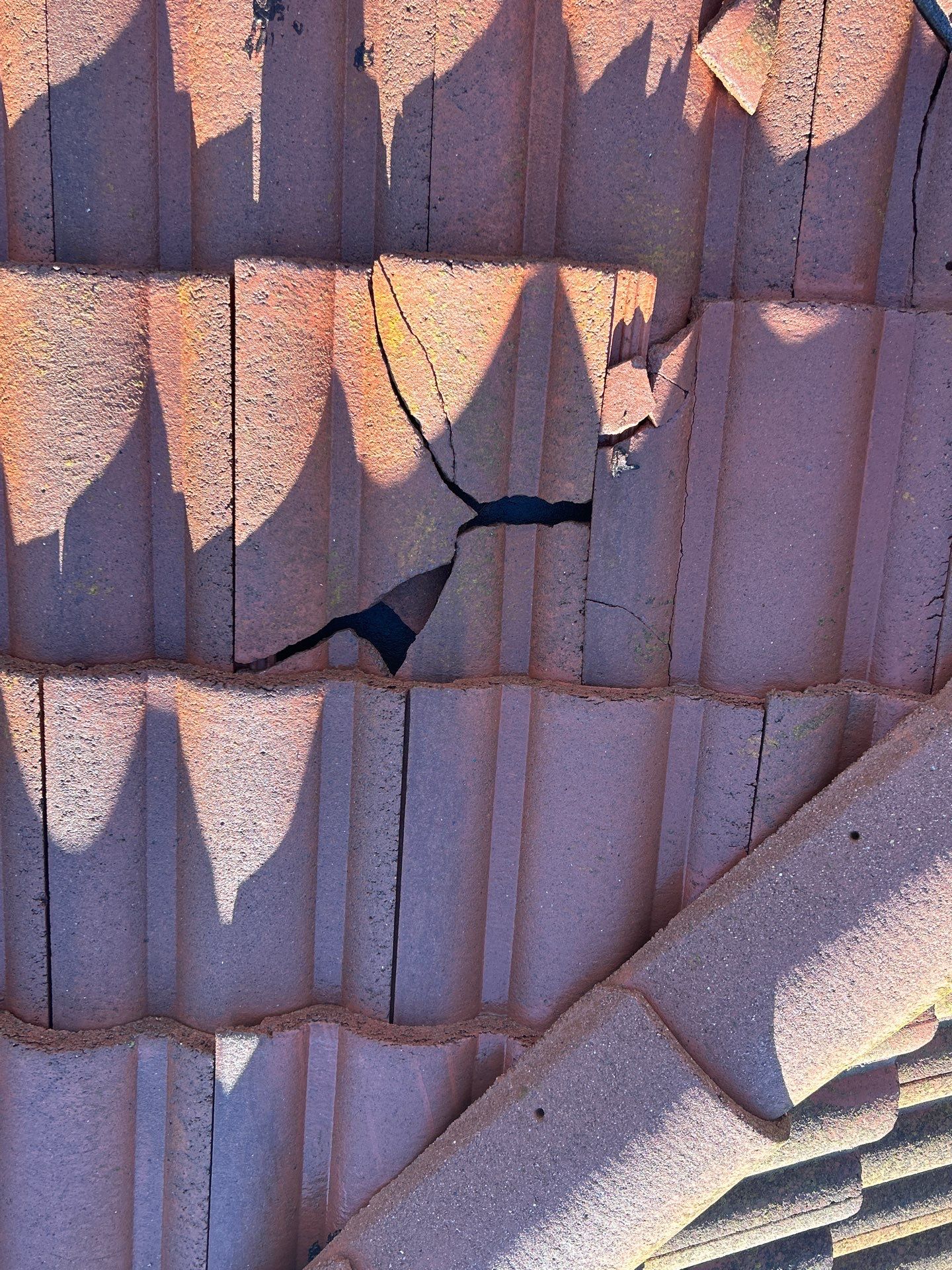 Roof Cleaning-Insurance Renewal by All One Solar Shine