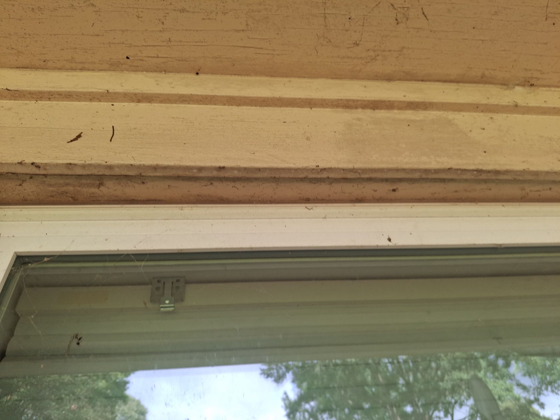 From Prep to Perfect Finish by Quality Coats Painting