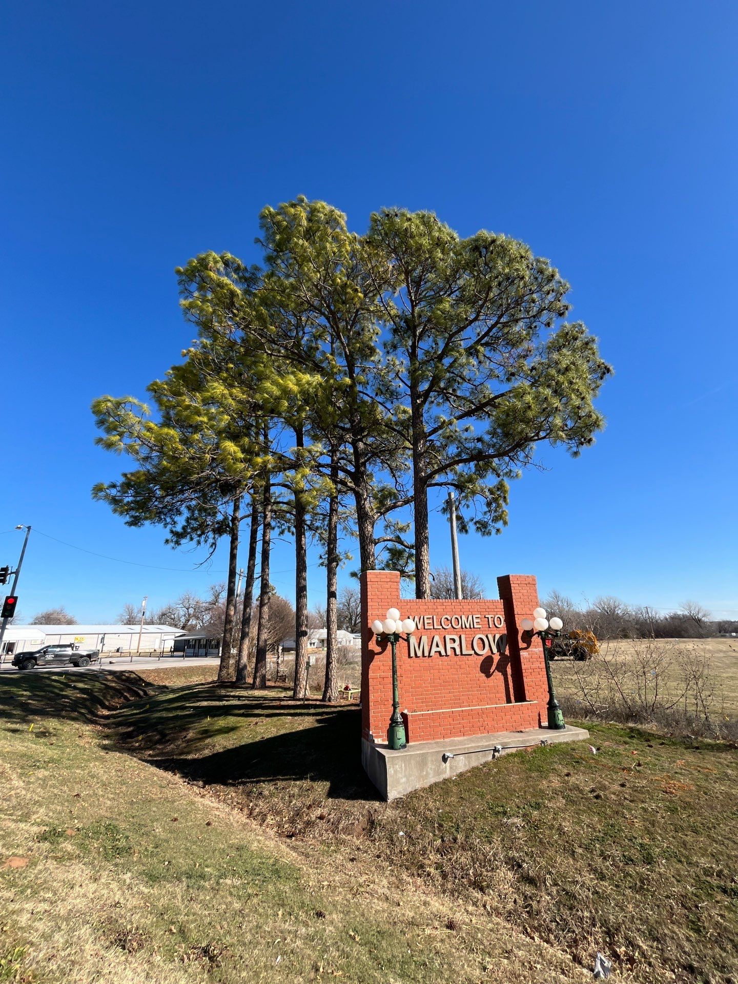 Pine Removals by Clays Services Inc