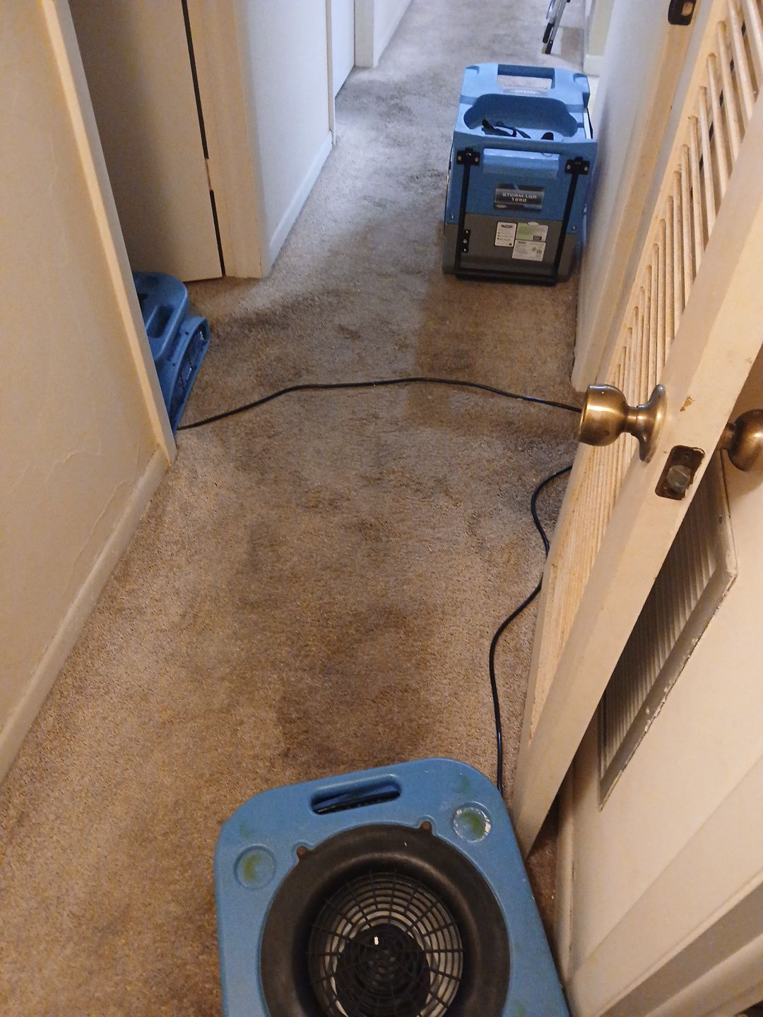 Comprehensive Water Damage Mitigation and Structural Drying in Miami by SuperClean