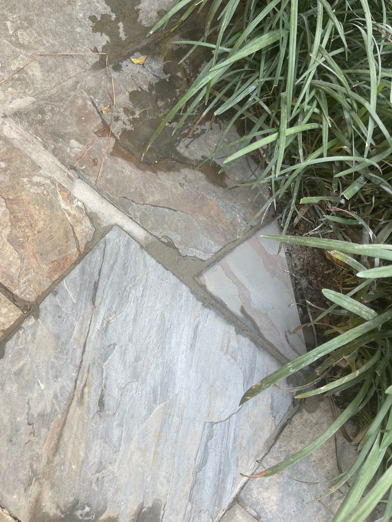 🌿 Project Spotlight: Patio Stone Repair for Linda Pradier by Texas Urban Elements