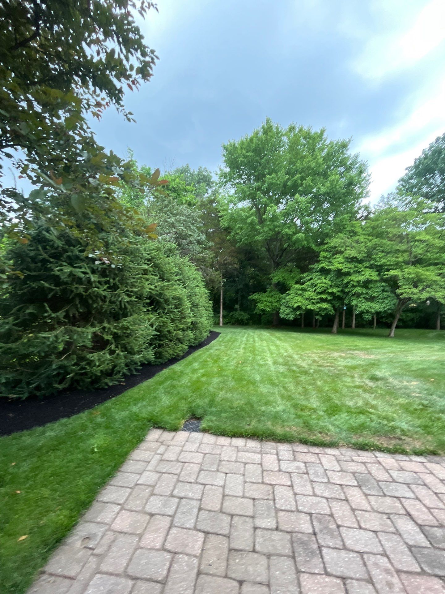 Comprehensive Shrub and Ornamental Bed Maintenance in Basking Ridge by Ants Plants