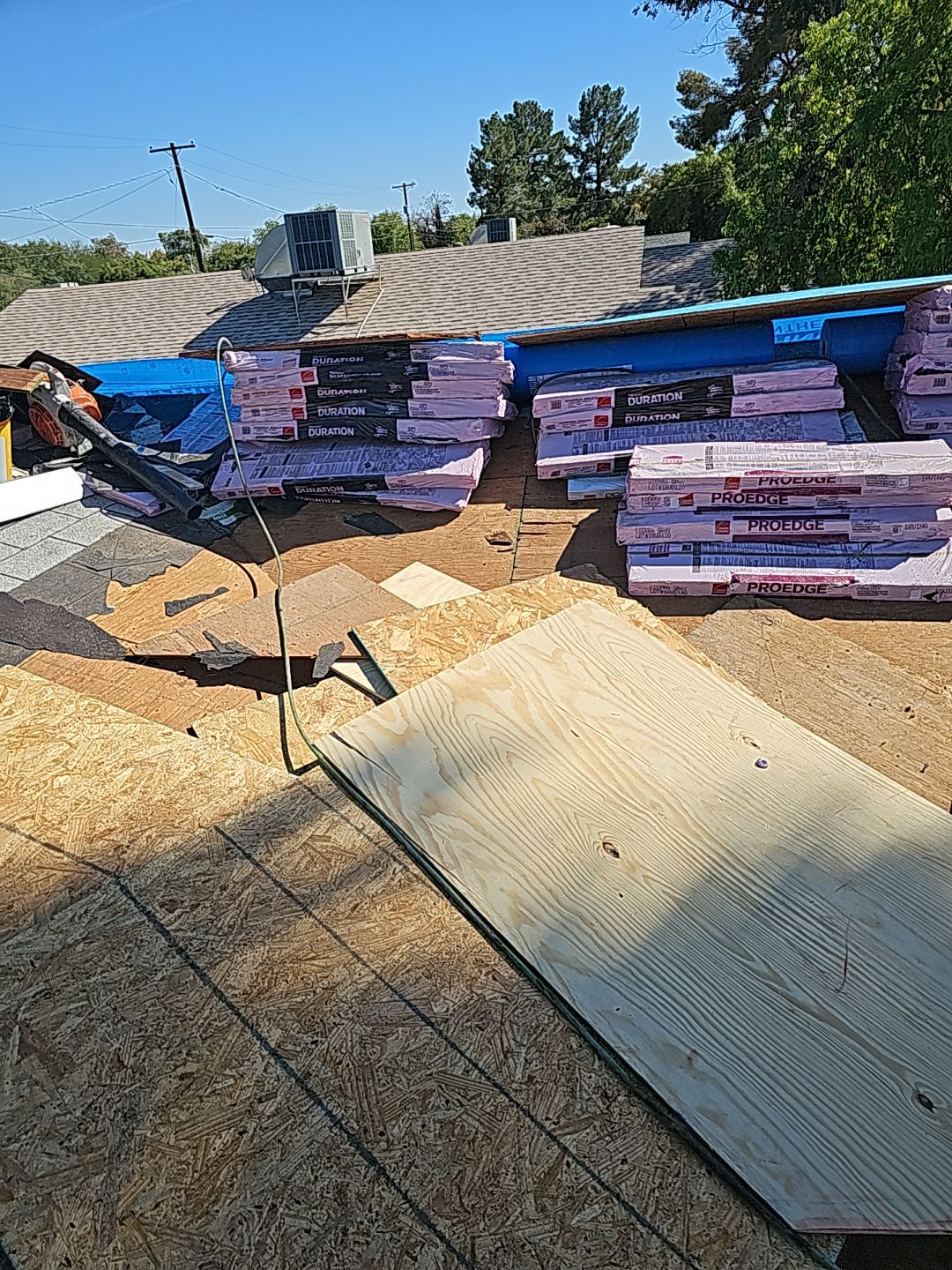Silver Birch Shingles by Reimagine Roofing