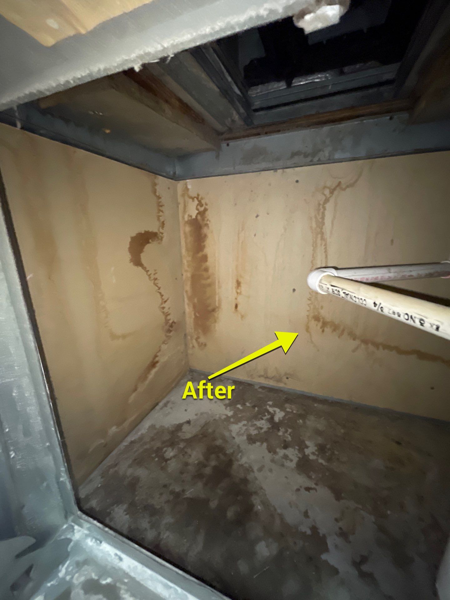 Commercial Air Duct Cleaning in Tavares by Hygienic Air, Inc