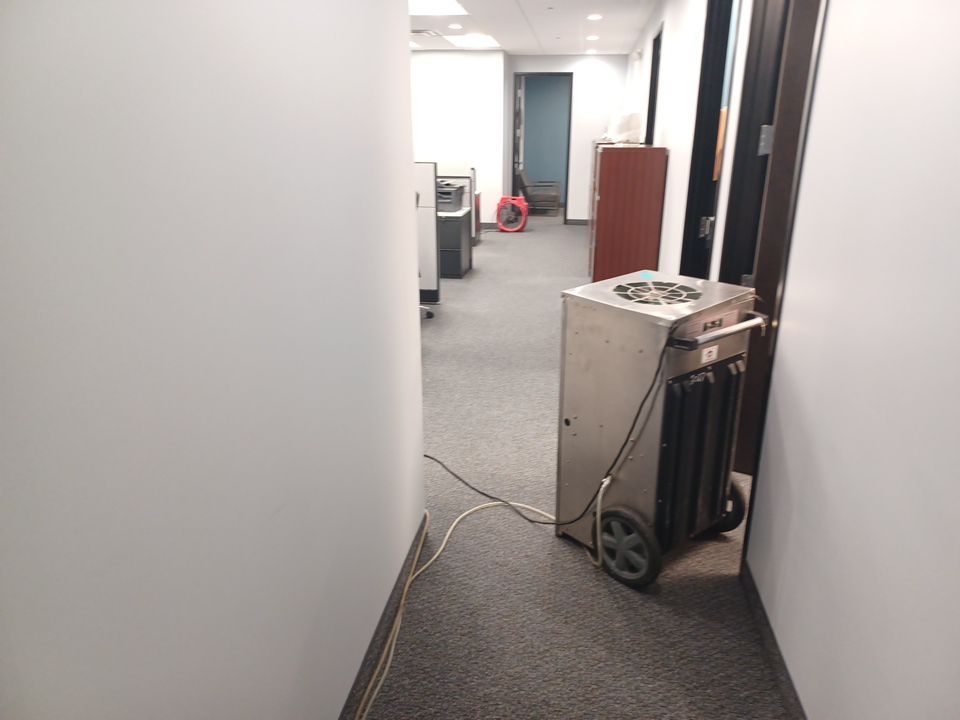 Project in Southfield by EzDry Water Mitigation & Property Restoration