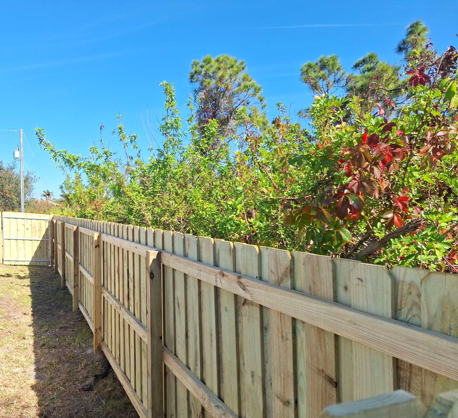 Wood Fence Installation using 6Ft Pressure Treated Wood Board On Board Privacy Fence by Asap fence and gates, LLC