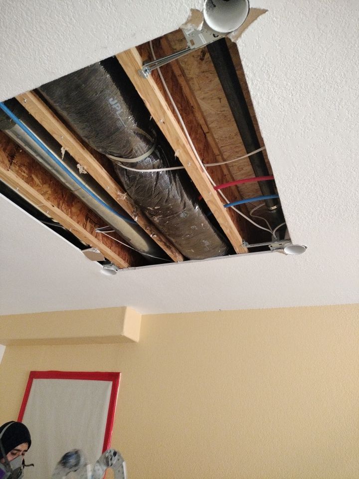 Mold Remediation by Accountable Home Services