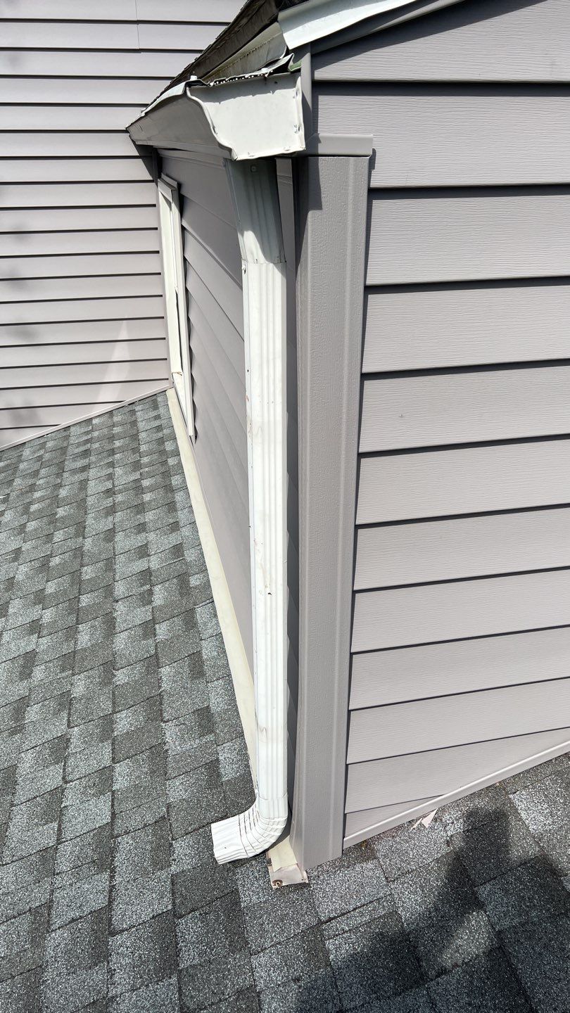 Suzanne Cordner by Silver Leaf Contracting 