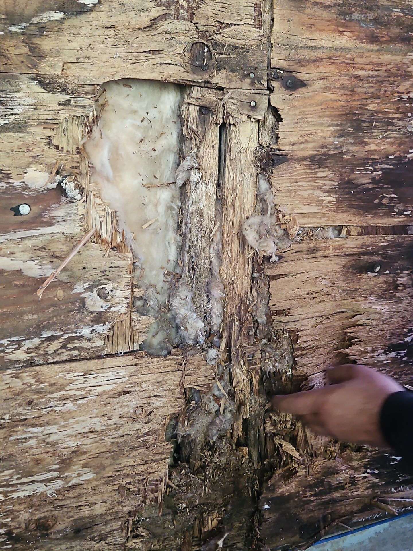 Siding | Concord by Mighty Dog Roofing of Greater Middlesex County