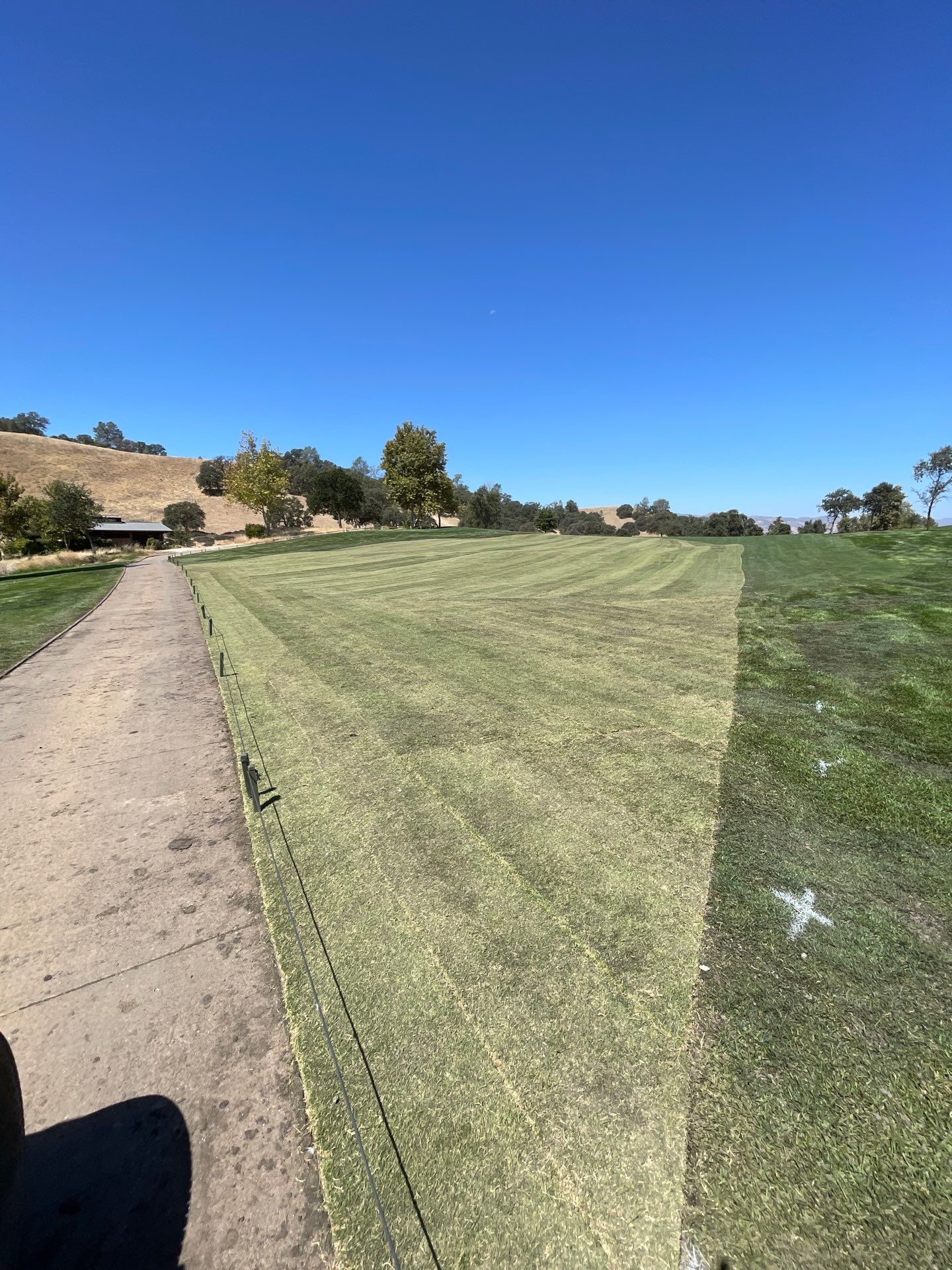 Project in Brooks by A - G Sod Farms