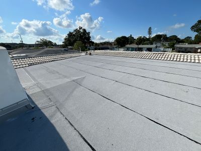 Project in St. Petersburg 33710