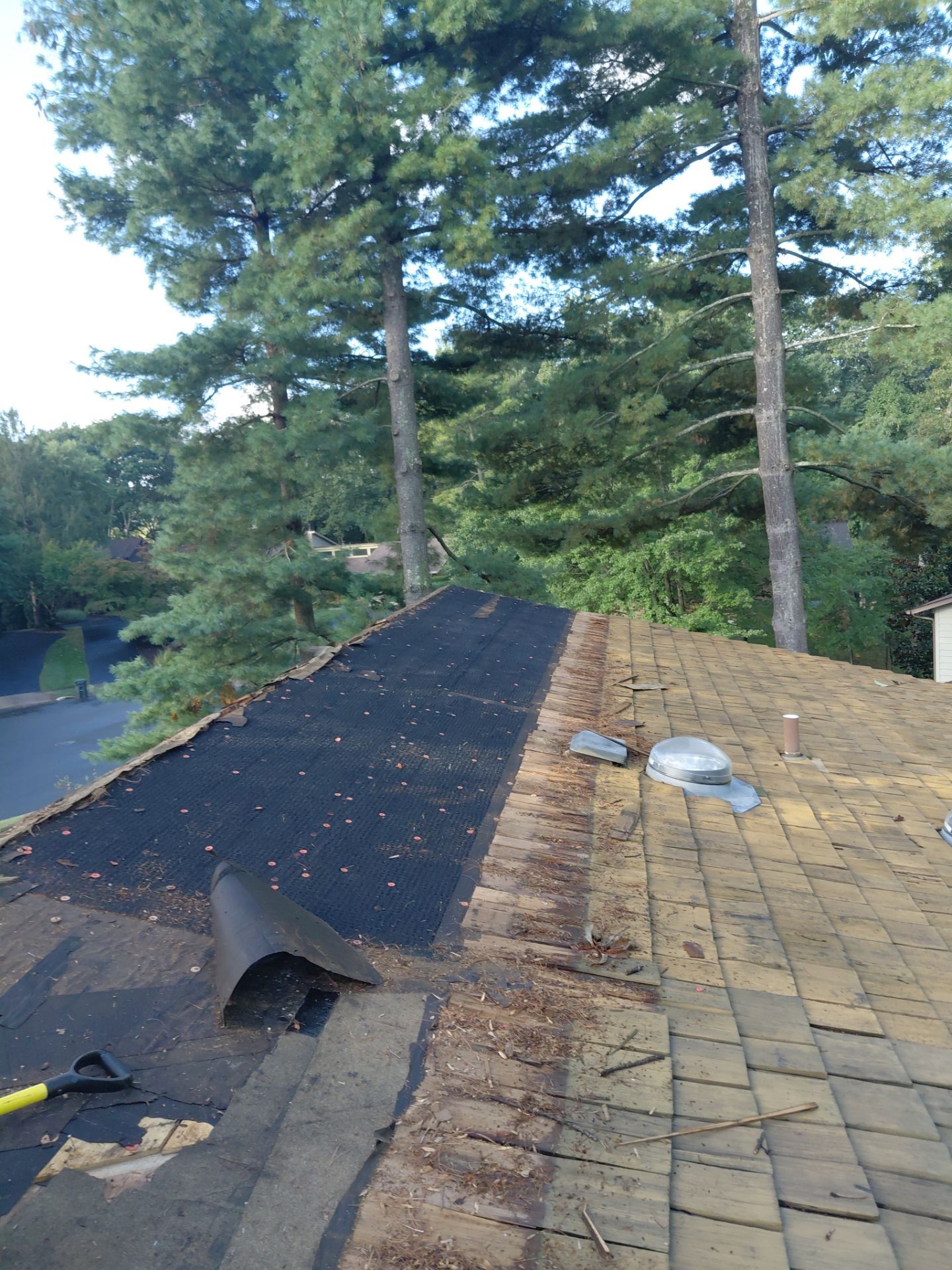 Vienna : Residential Roof Replacement with CertainTeed Landmark Pro in Max Def Georgetown Gray  by RM Banning, Inc.
