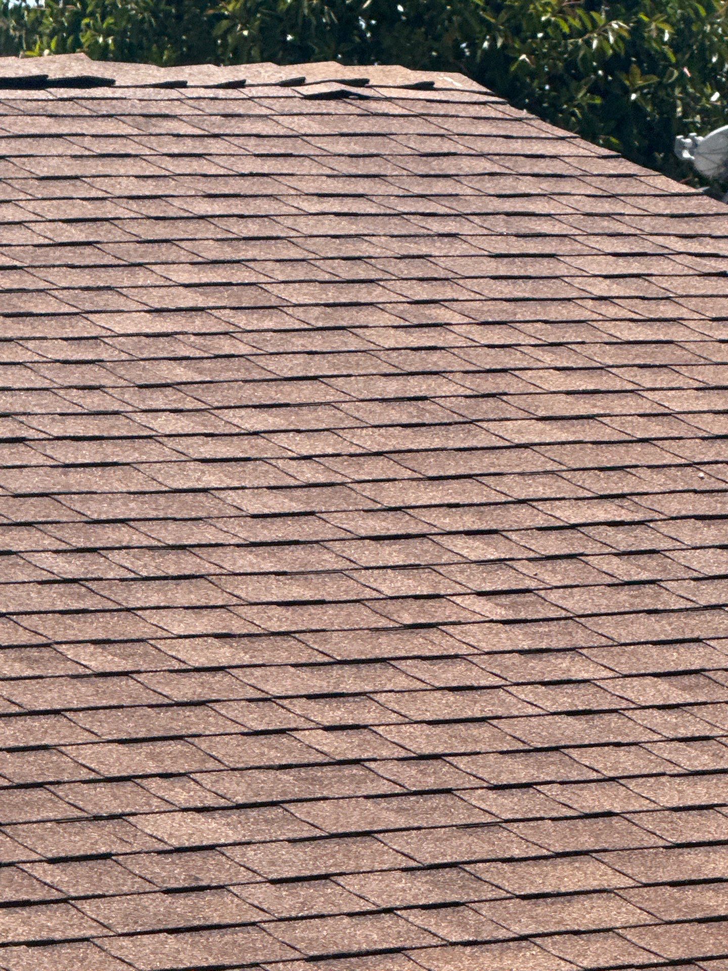 Asphalt Shingle Roof Rejuvenation and Vent Sealing in San Diego by Reliable Roofing San Diego Inc.