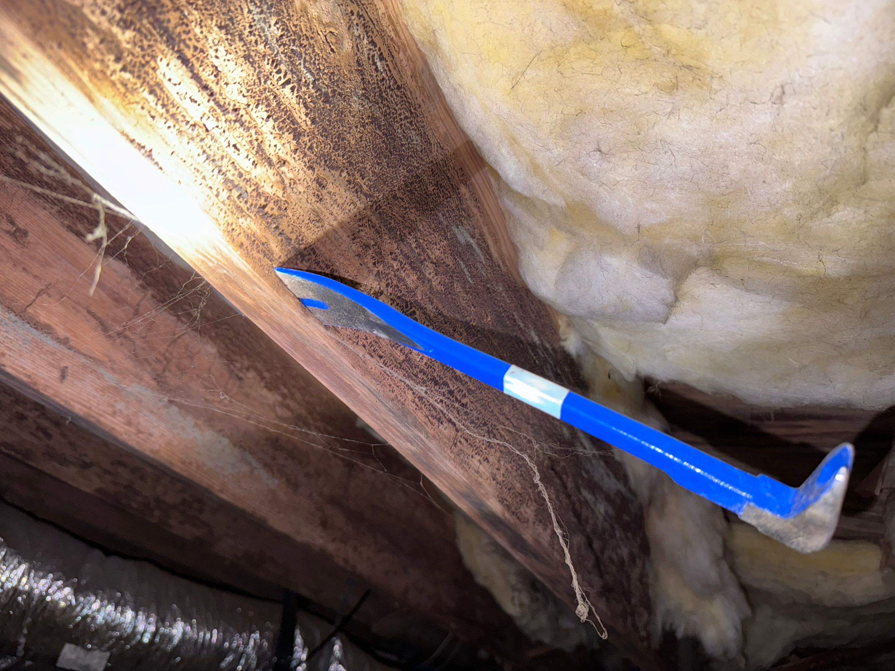 Impact Choice Encapsulation with 20Mil and Tri-Plex insulation. by Impact Crawlspace