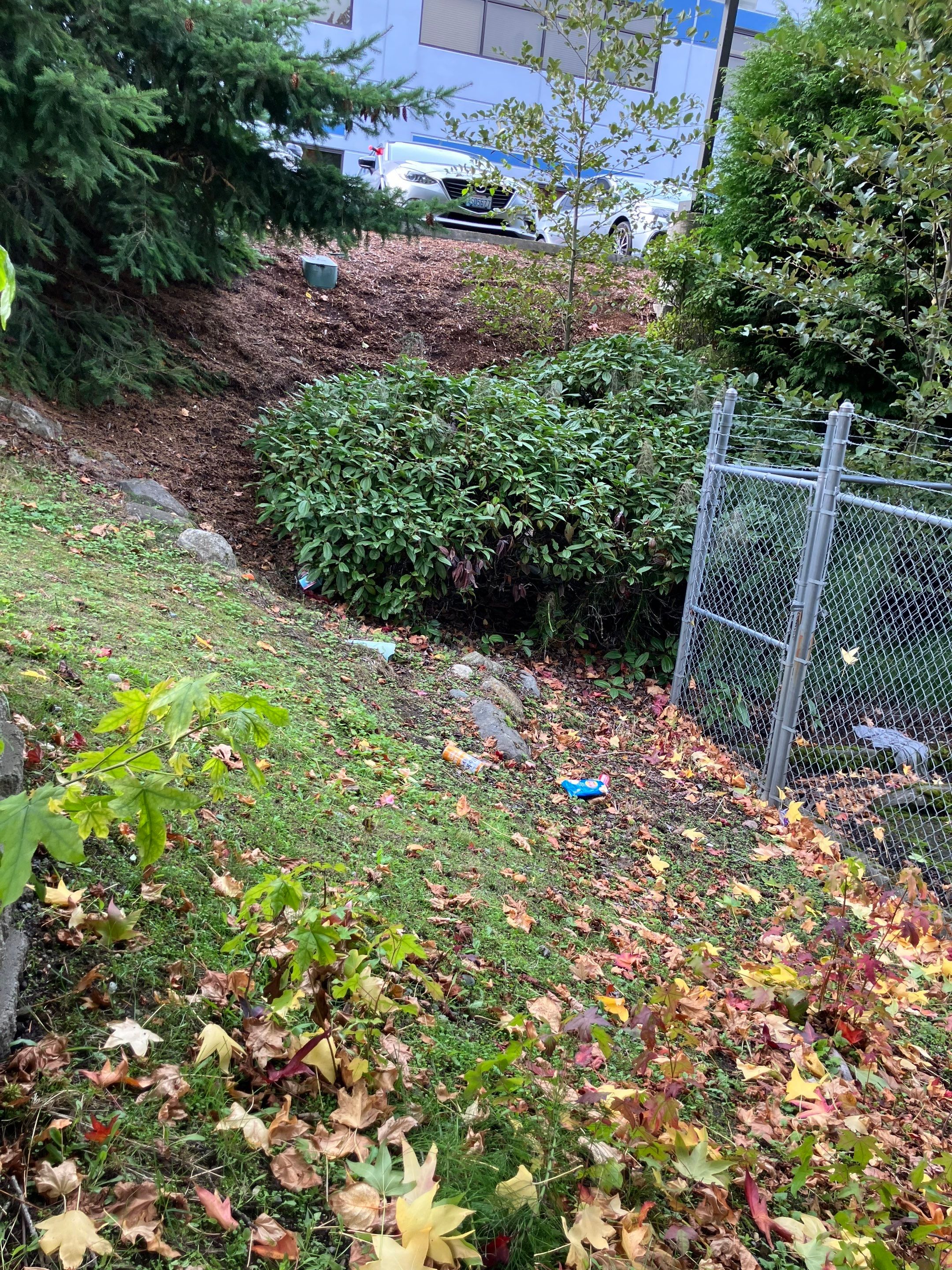 Access Laser Company/Commercial  by Jireh Asphalt & Concrete Inc 