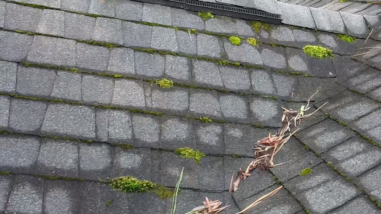 Project in Chesterfield by Roof Maxx of Midlothian