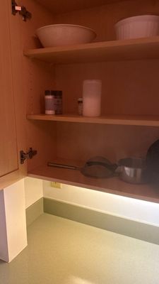 Wet Carpet Drying — Cape Coral, FL