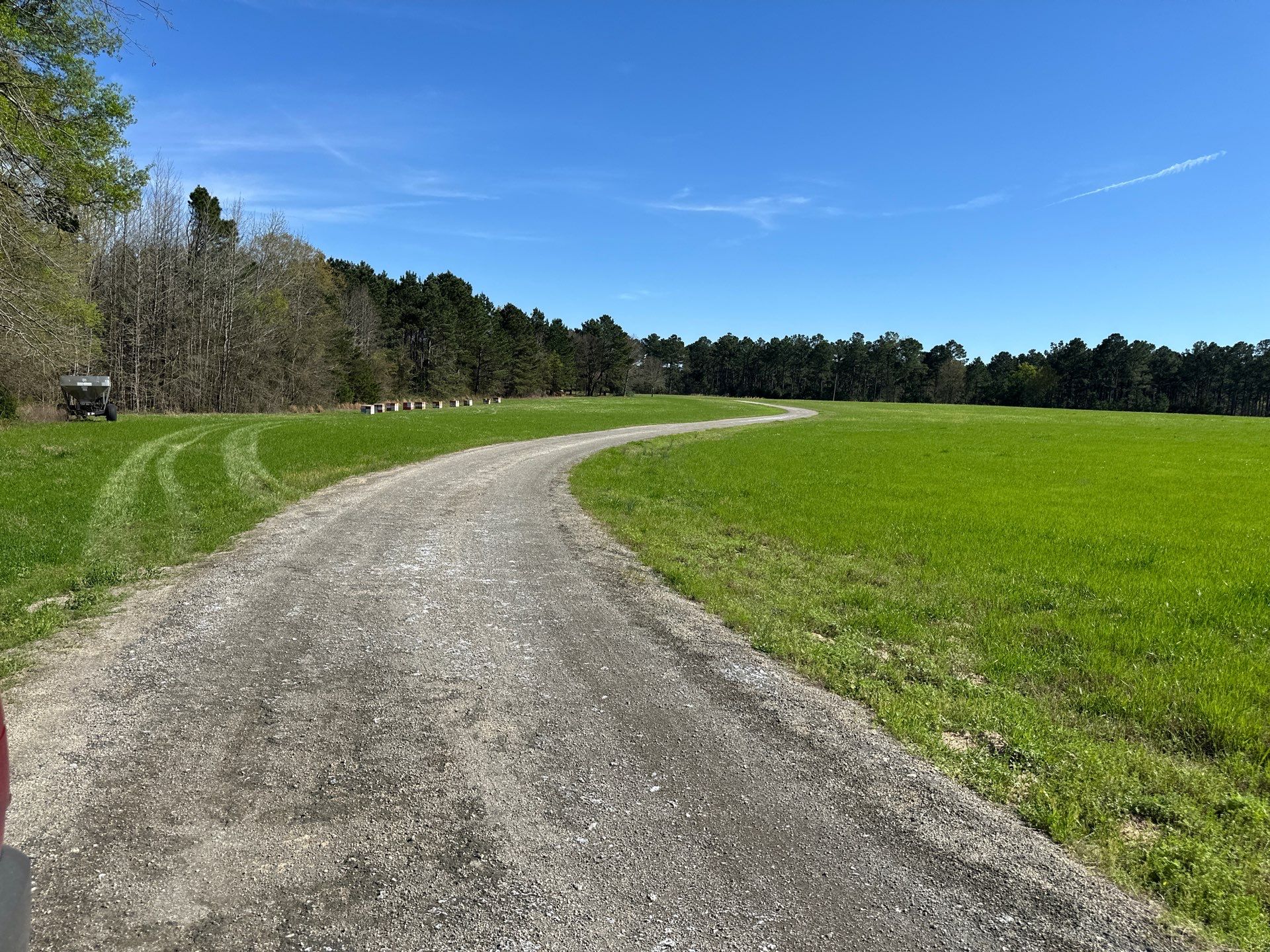 W Family Apiary by Rockwall Honey Bee Company