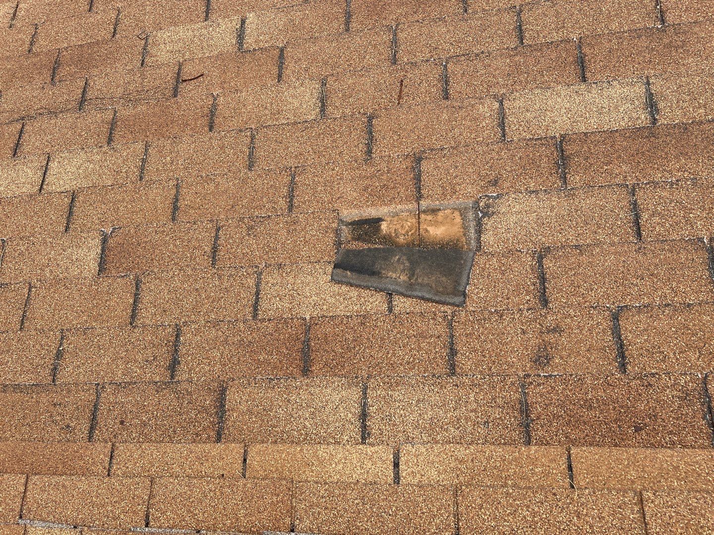 Topaz's Full Re-Roof (Energy Star) by All Storm Roofing & Construction